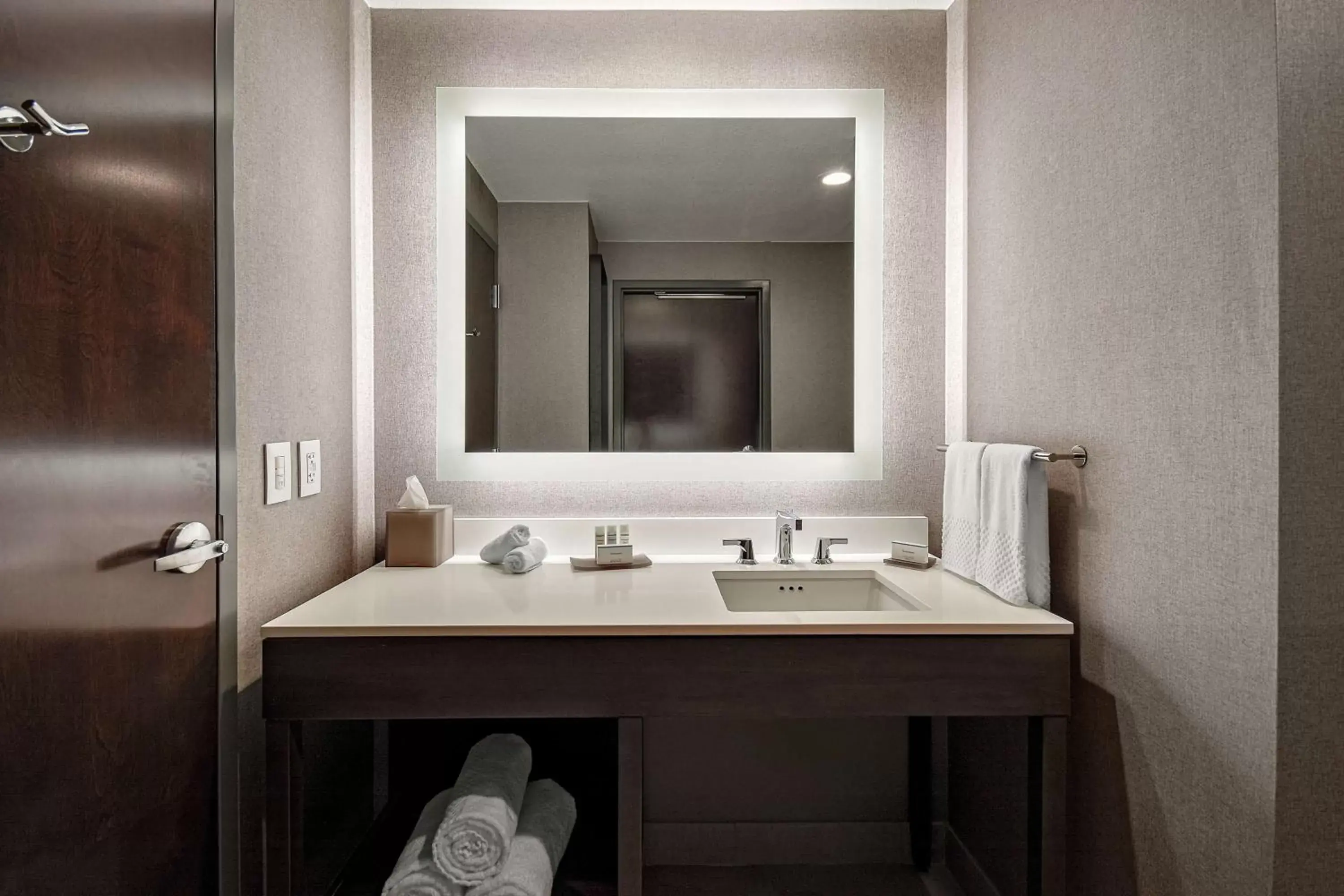 Bathroom in Embassy Suites Jonesboro - Arkansas State
