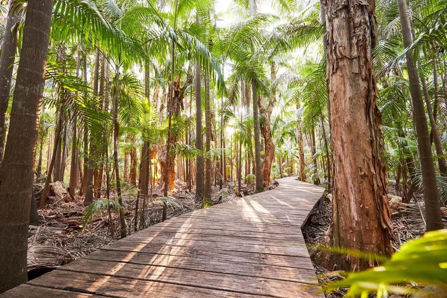 Natural landscape in Crystalbrook Byron