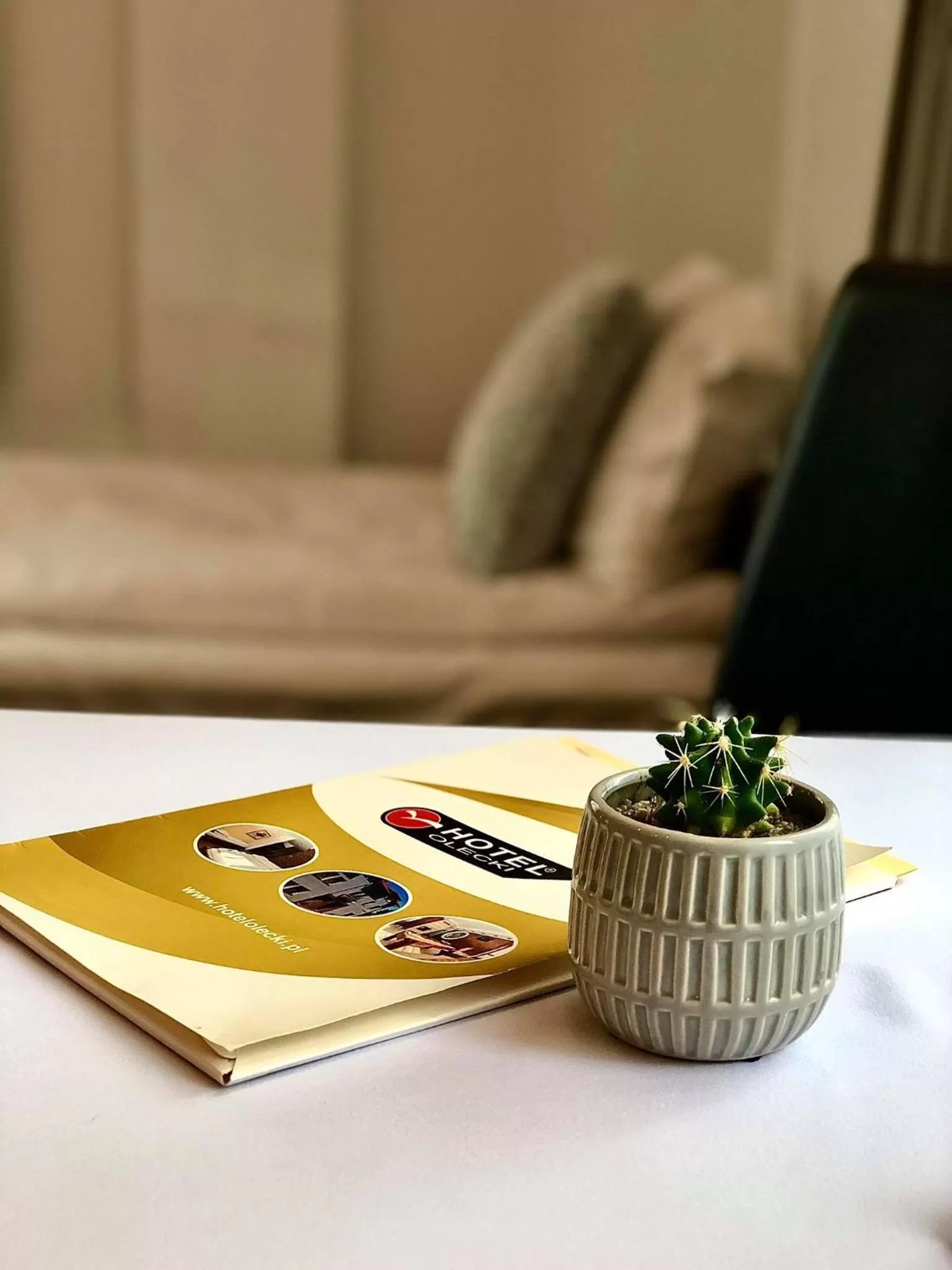 Living room in Hotel Olecki