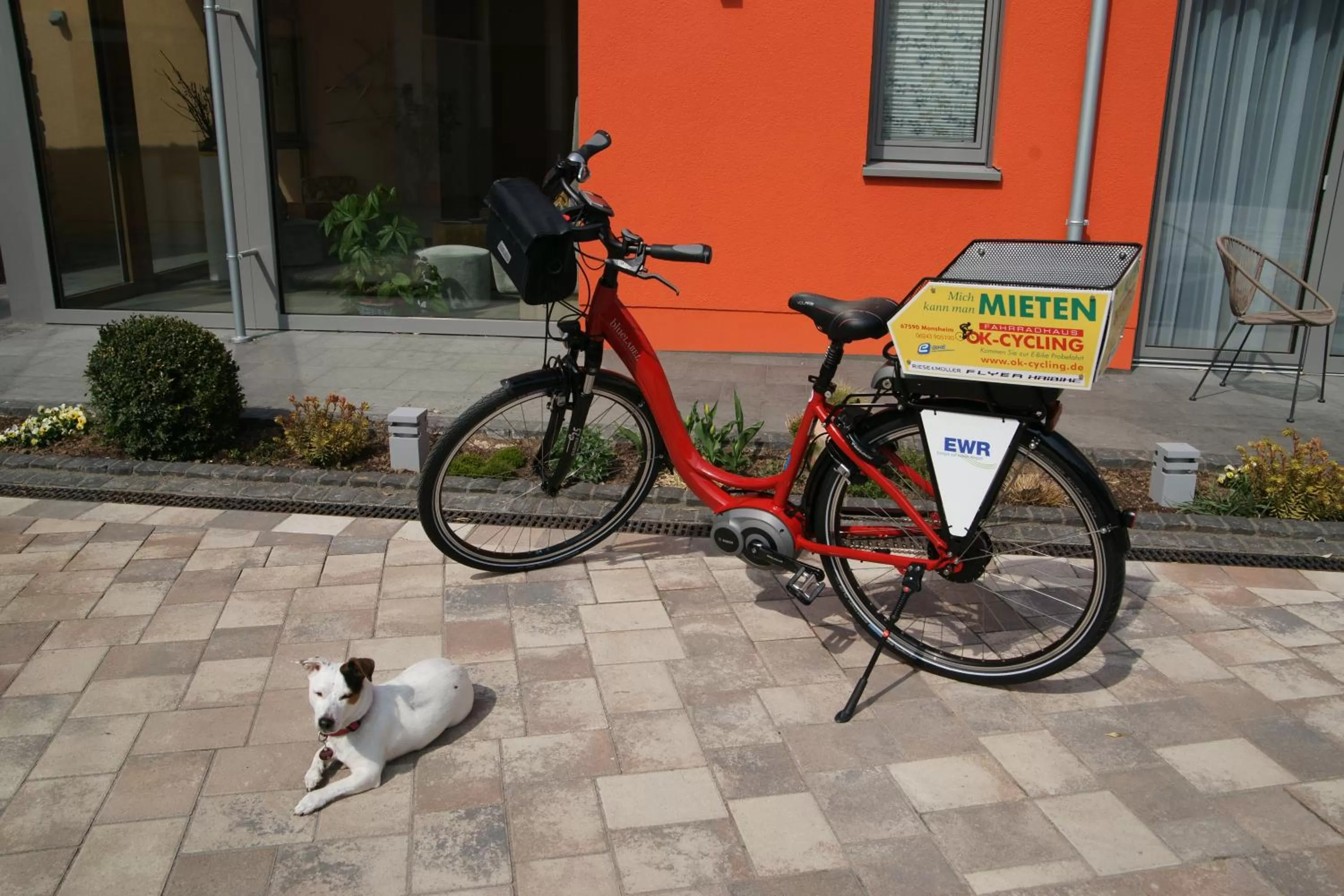 Facade/entrance in Landhotel im Klostereck Strubel-Roos