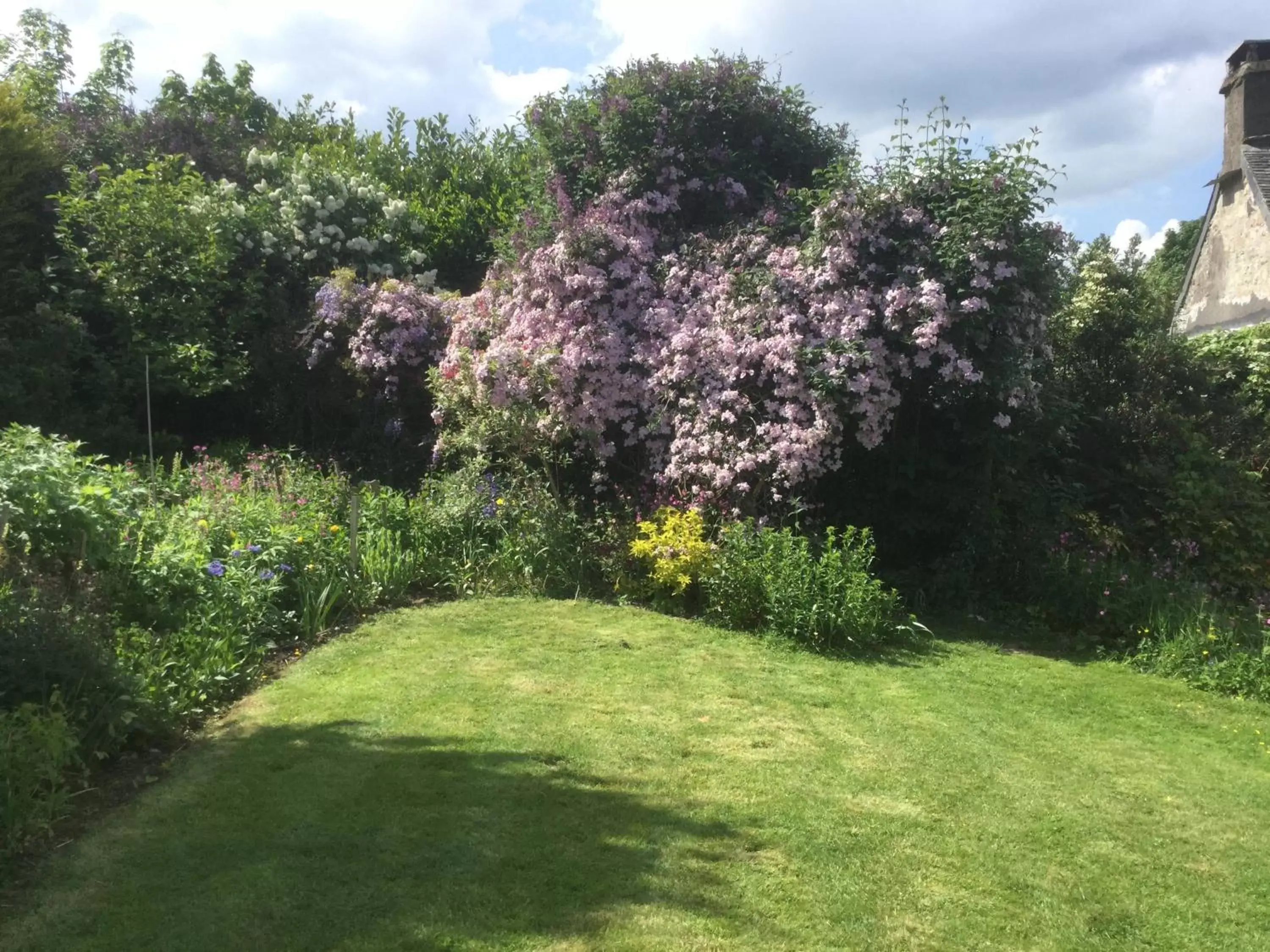 Garden in Corndonford farm