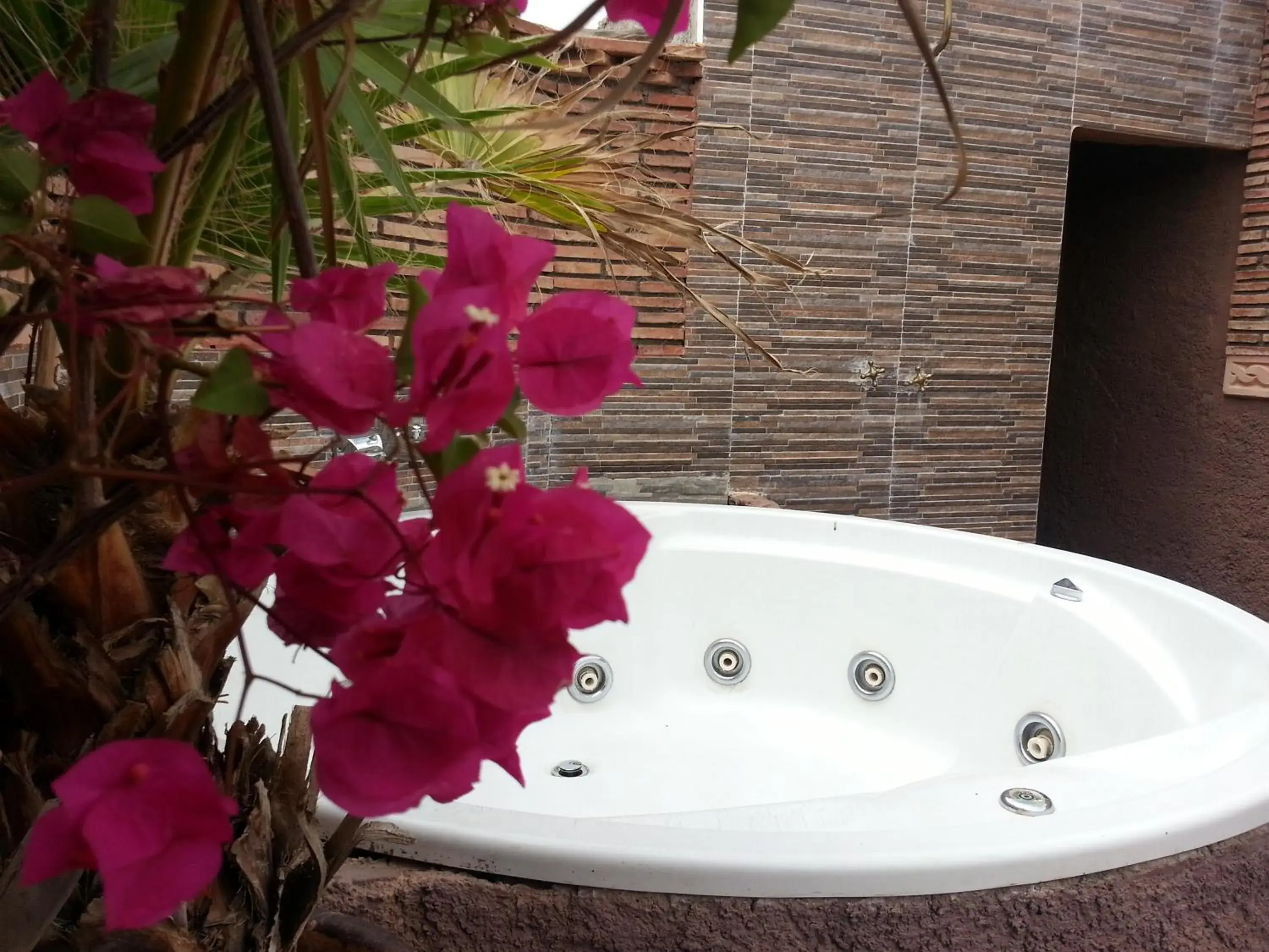 Solarium, Bathroom in Riad Mille Et Une Nuits