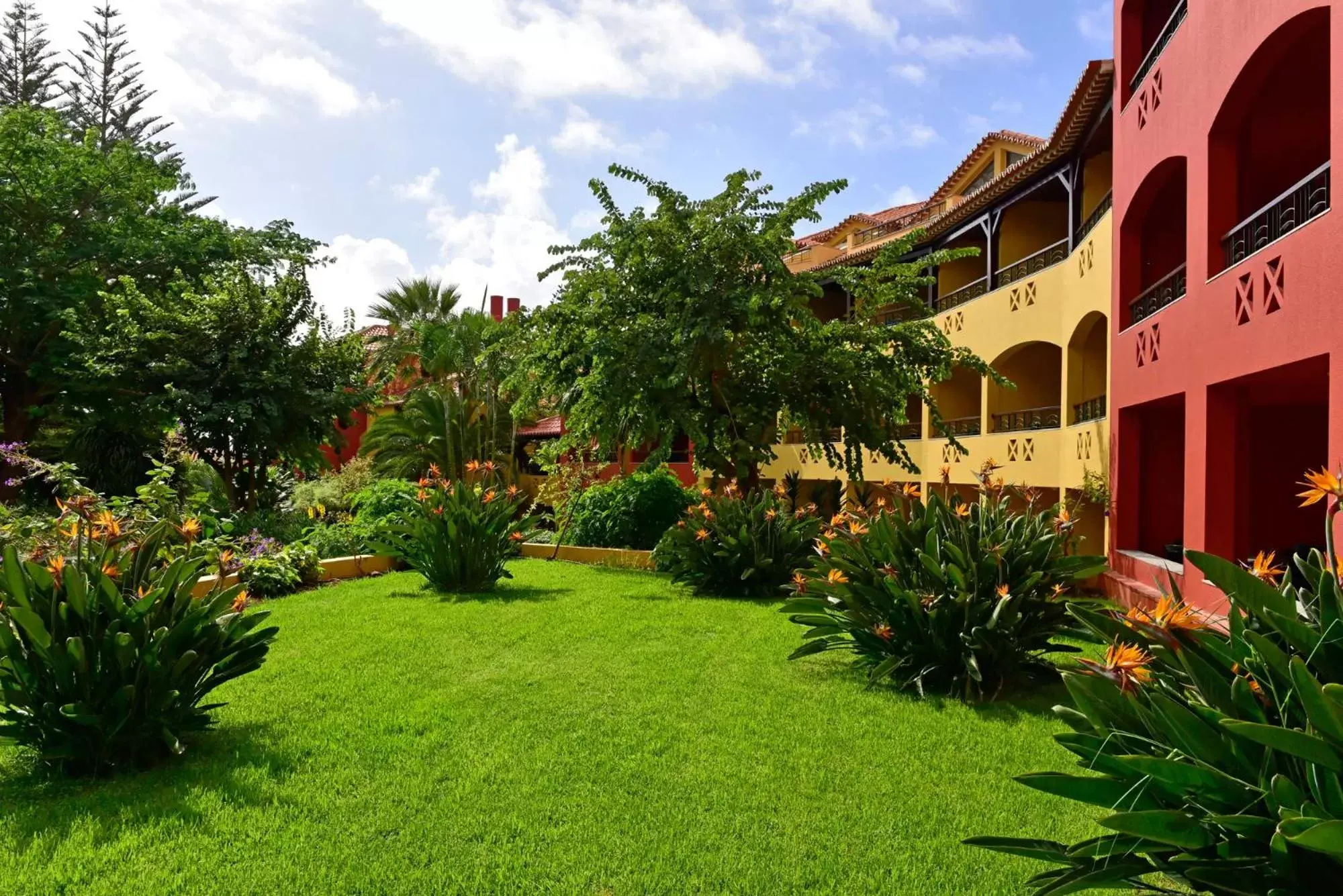 Garden in Pestana Village Garden Hotel