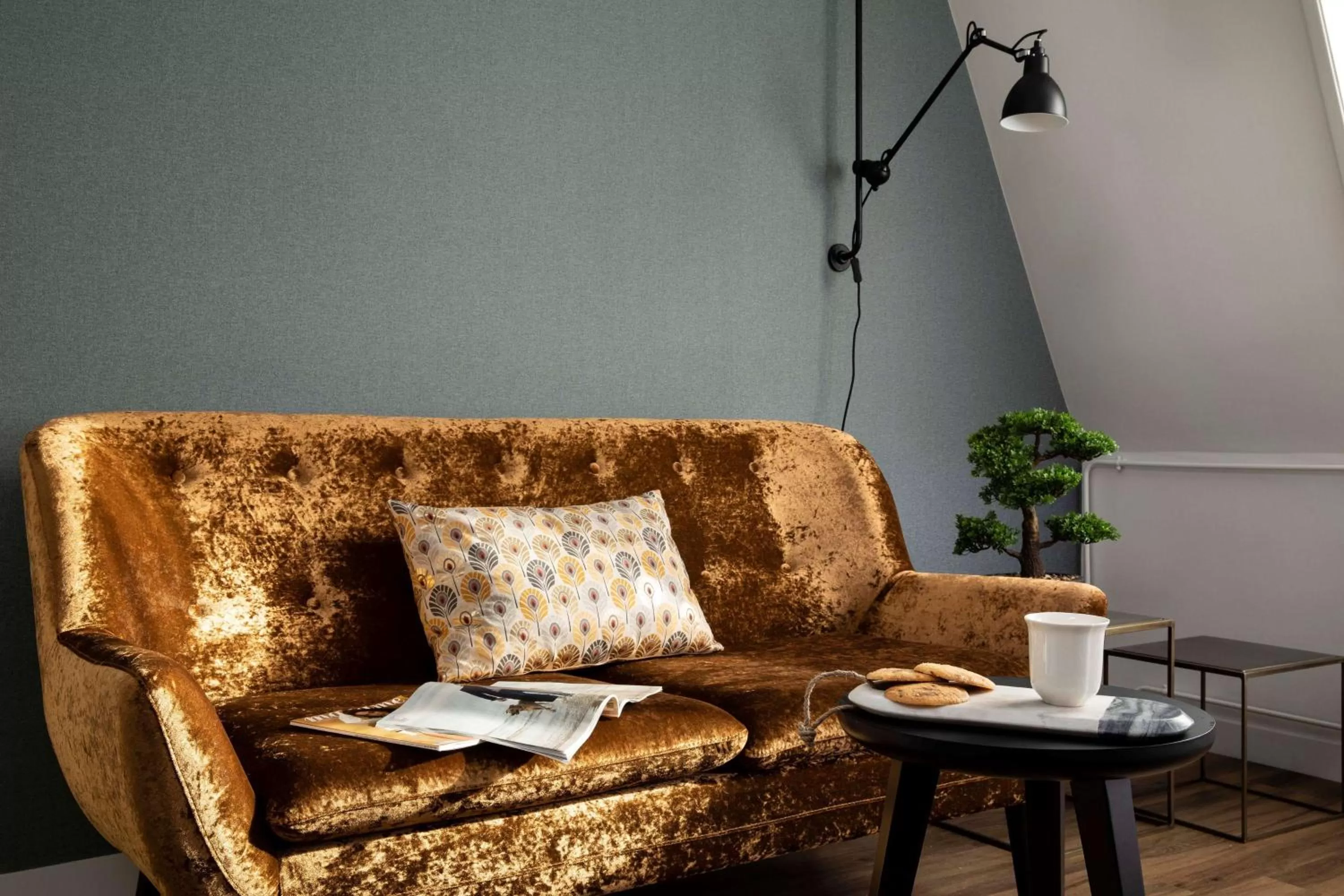 Photo of the whole room in Maison 46