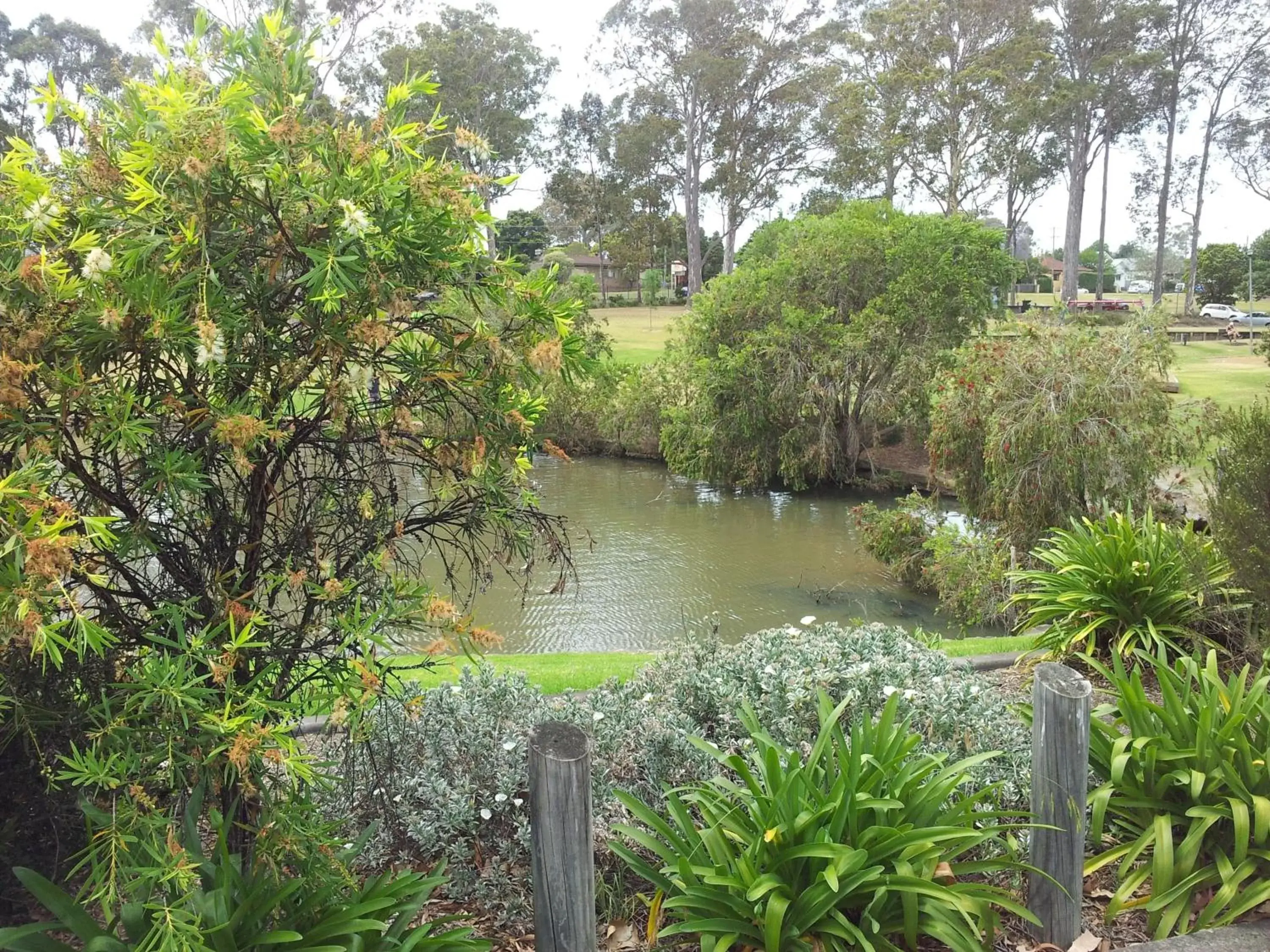 Natural landscape in Marriott Park Motel