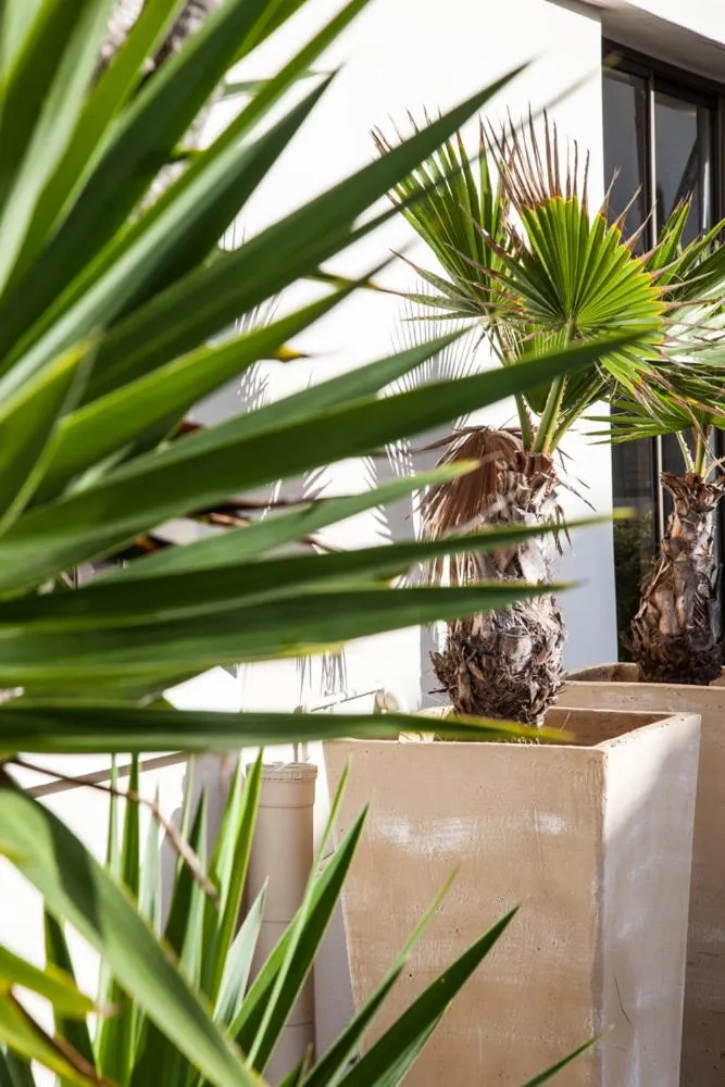 Decorative detail in Palm Beach Guesthouse