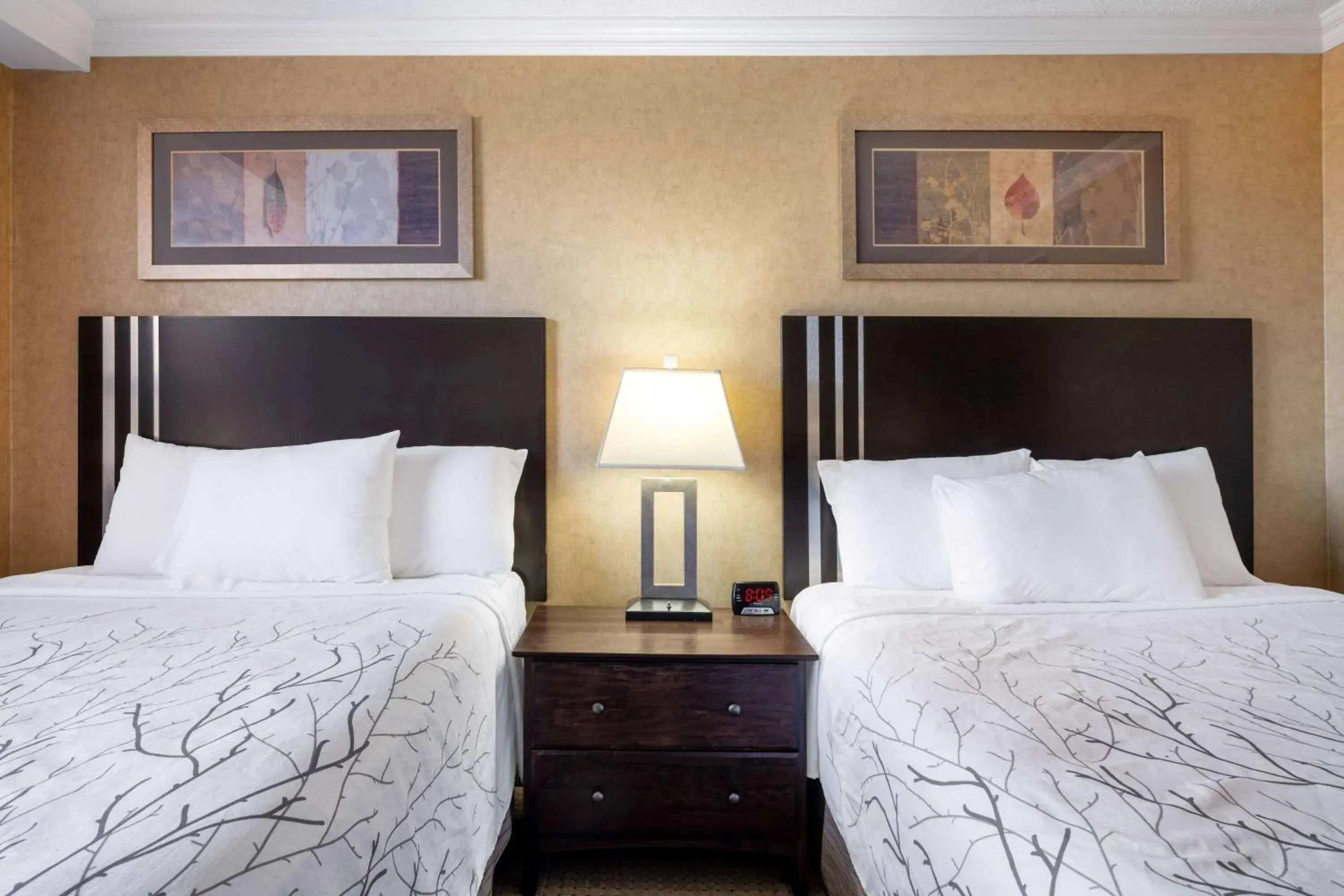 Queen Room with Two Queen Beds - Non-Smoking in Travelodge by Wyndham Prince Albert Queen Room with Two Queen Beds - Non-Smoking in Travelodge by Wyndham Prince Albert