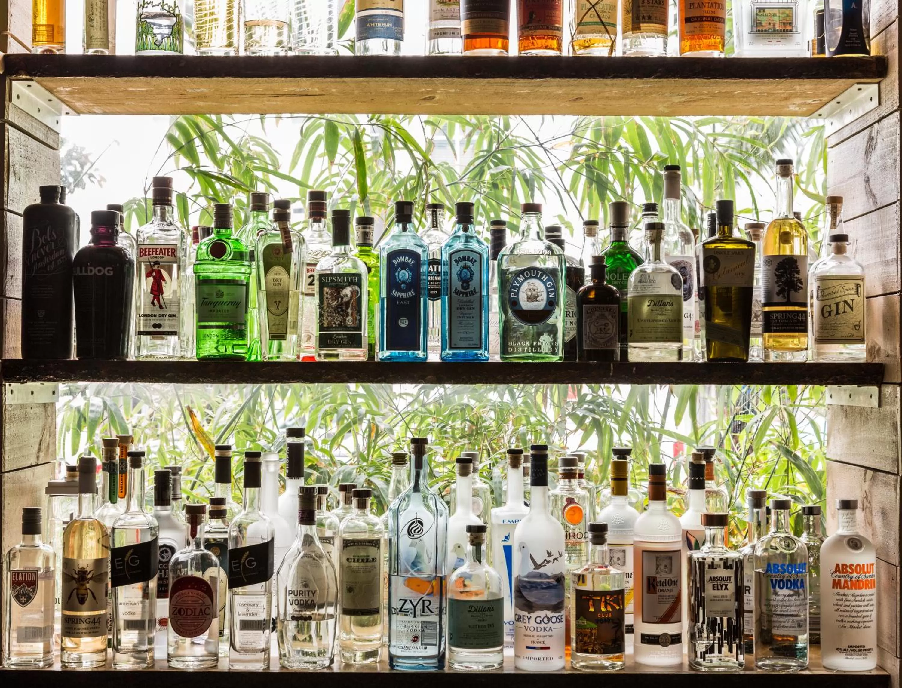 Lounge or bar in Albion Hotel