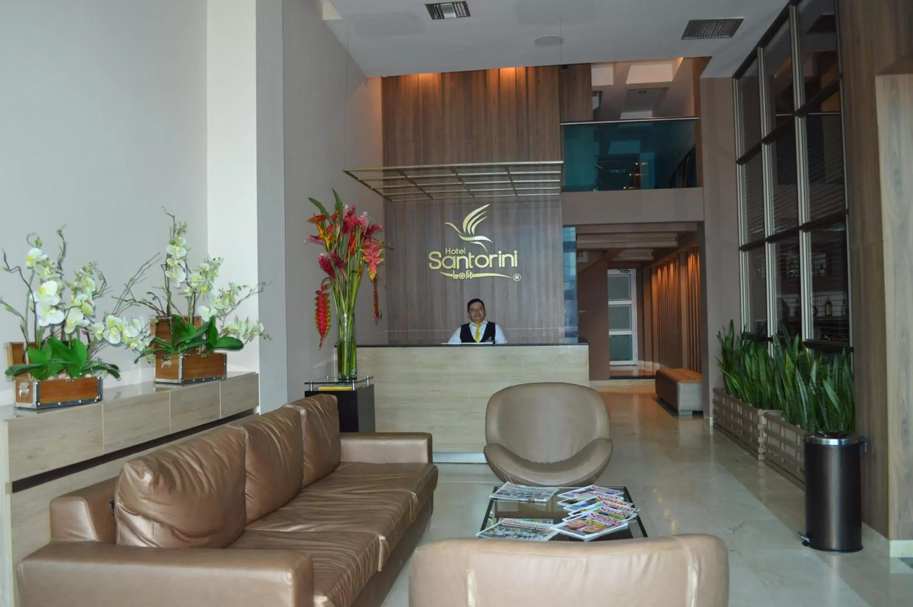 Lobby or reception, Lobby/Reception in Hotel Santorini Loft