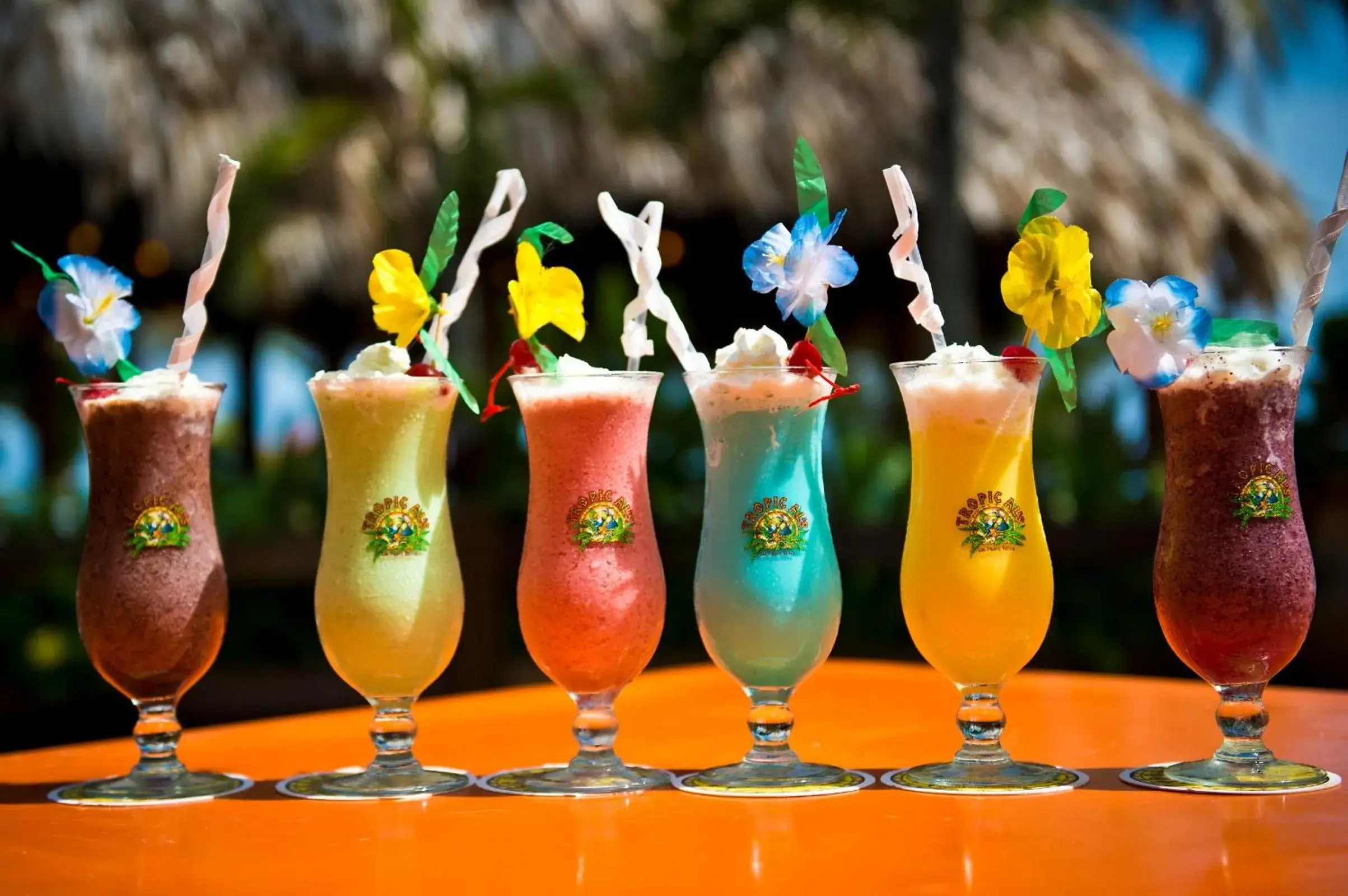 Non alcoholic drinks in Ramon's Village Resort