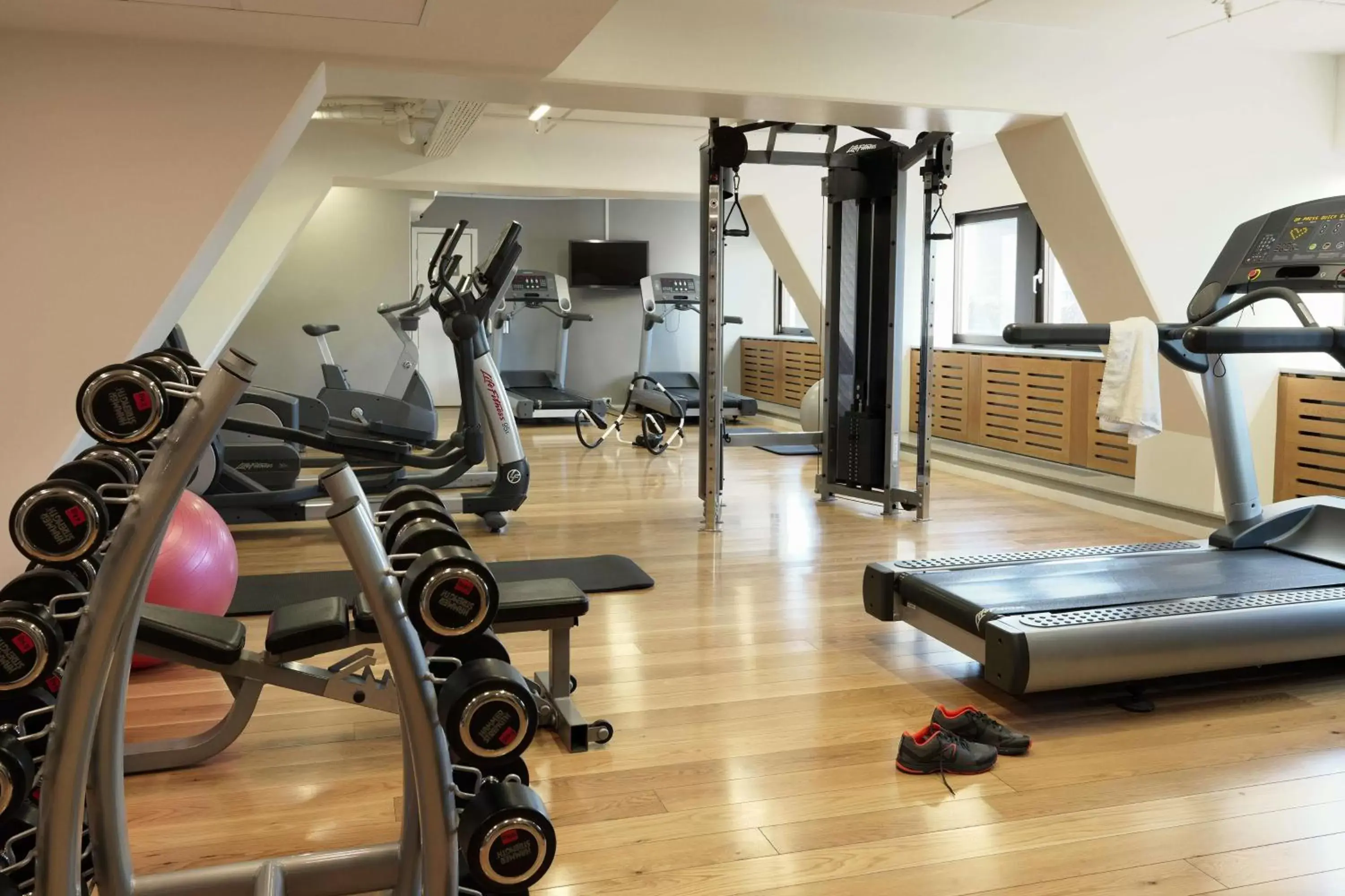 Activities, Fitness Center/Facilities in Scandic Webers