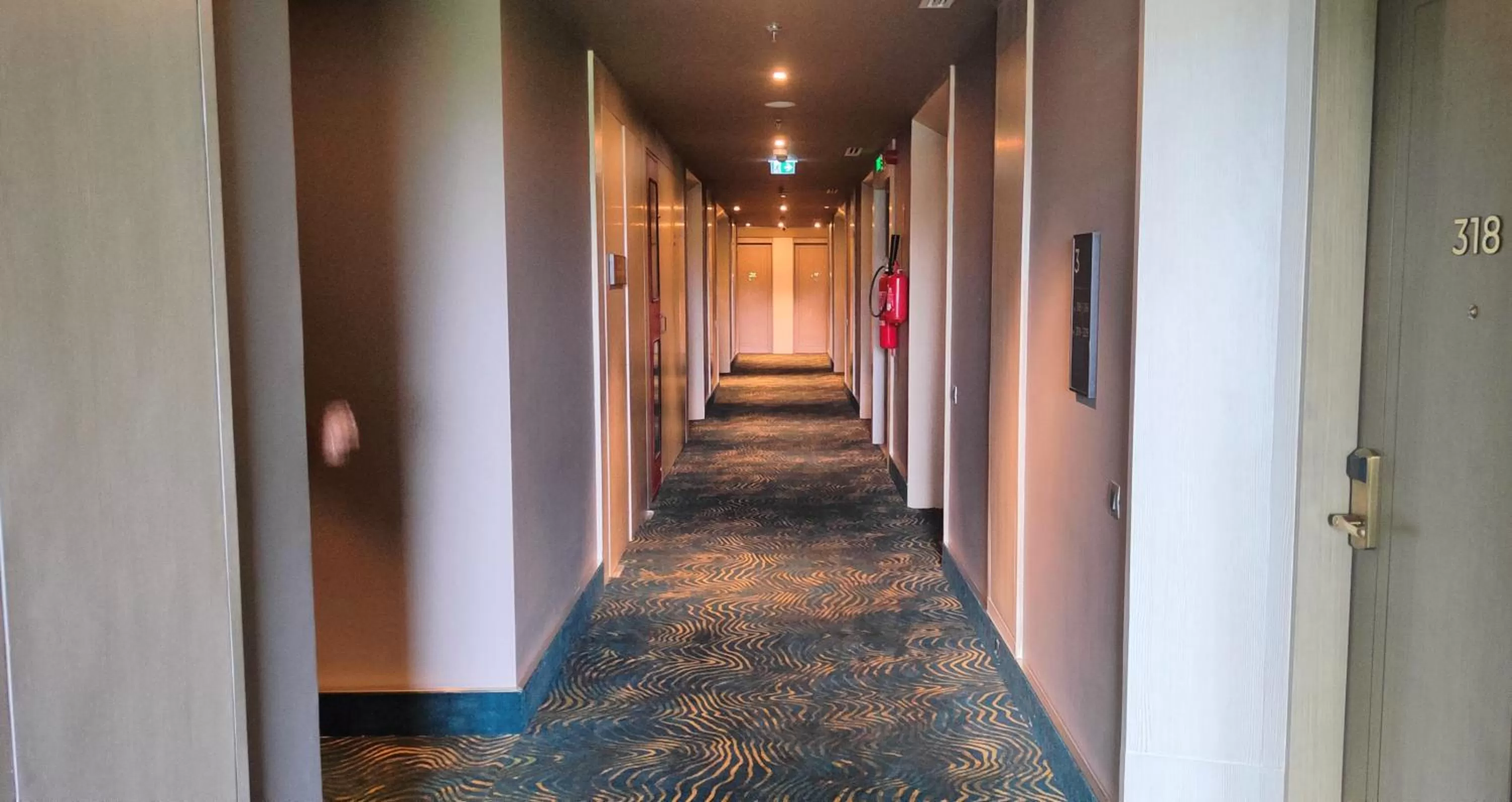 Area and facilities in Novotel Chandigarh Tribune Chowk