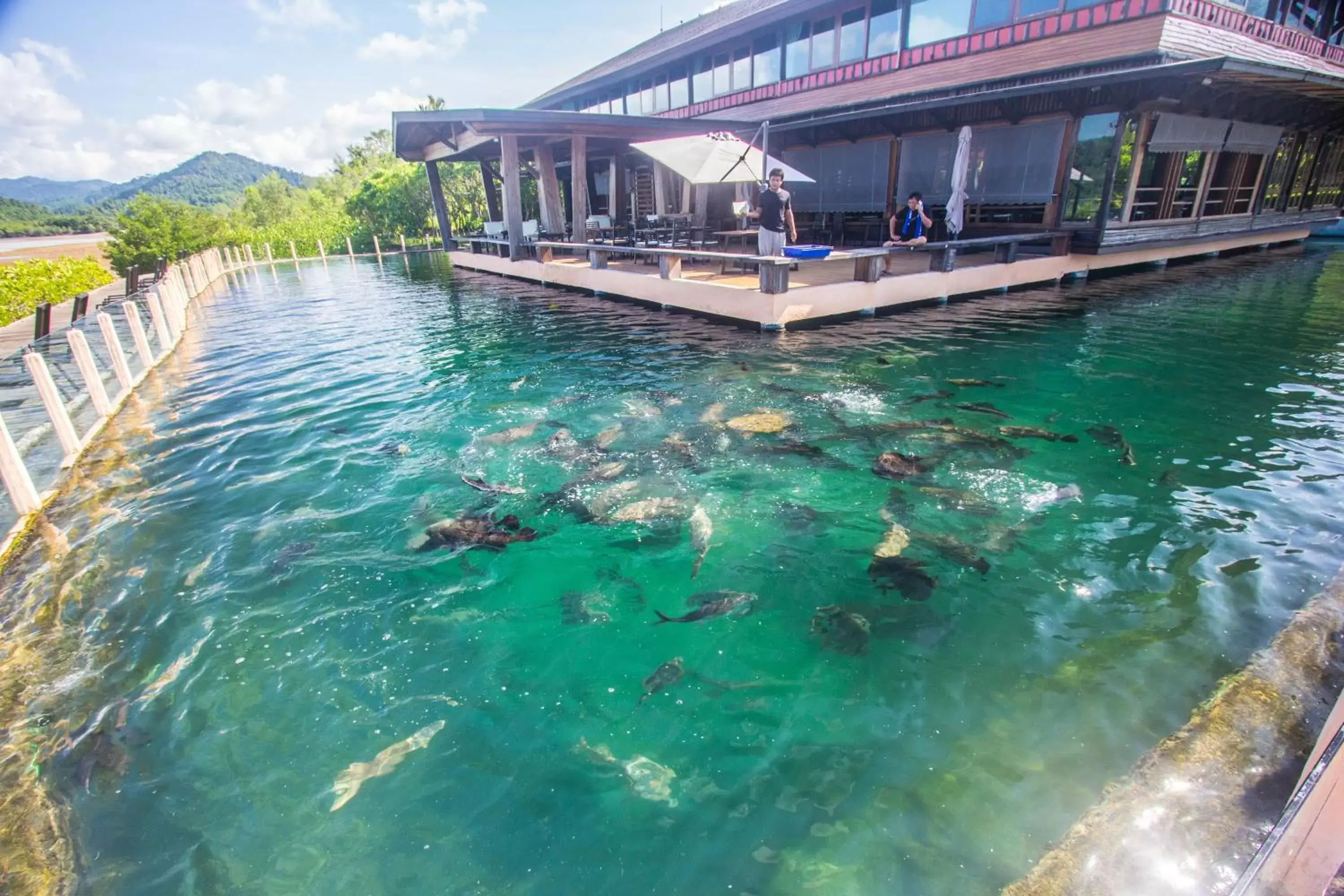 Pets, Swimming Pool in Parama Koh Chang