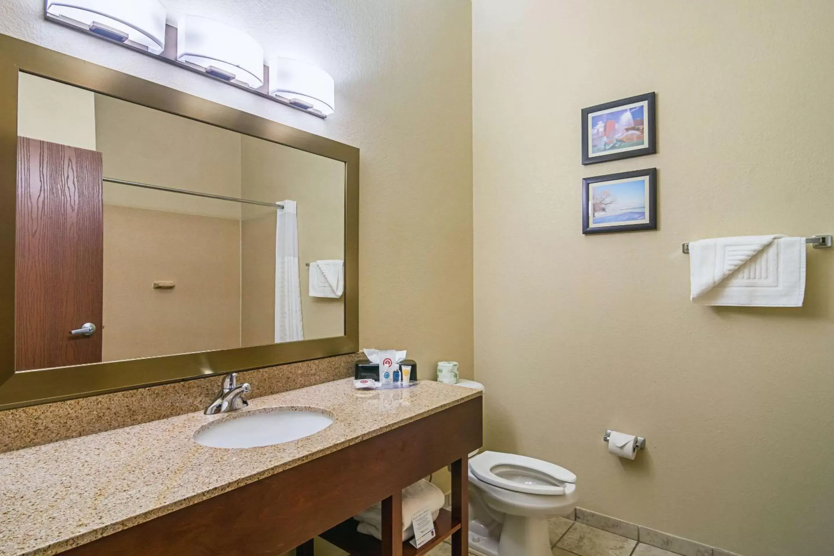 Photo of the whole room, Bathroom in Comfort Suites Grayslake near Libertyville North