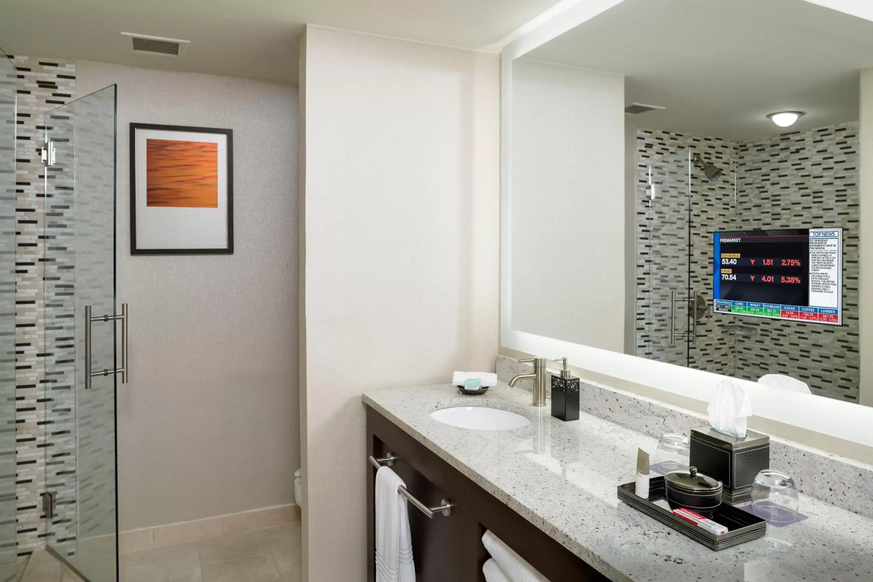 Shower, Bathroom in Hyatt Regency Suites Atlanta Northwest