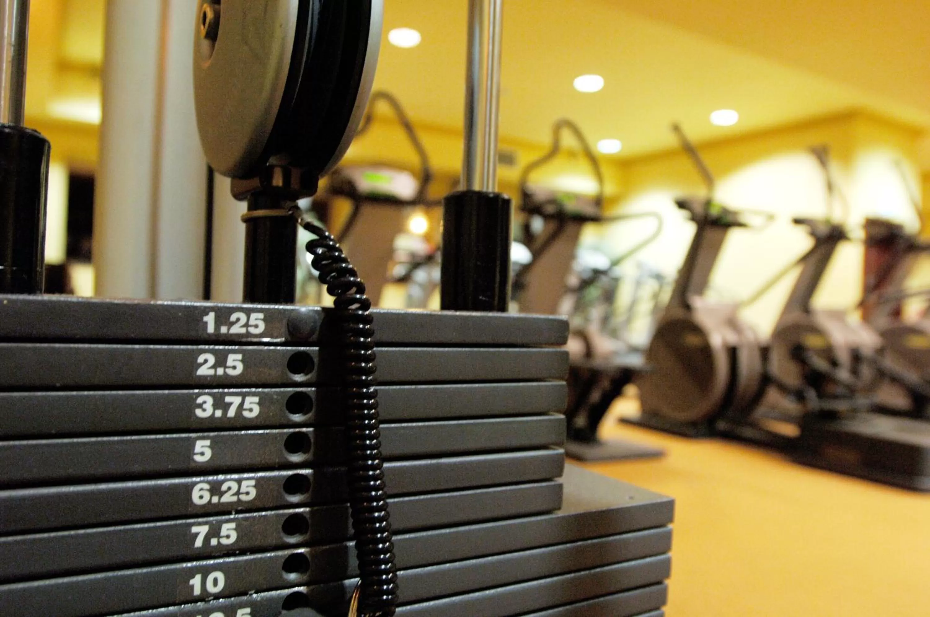 Fitness centre/facilities in Hibernian Hotel & Leisure Centre