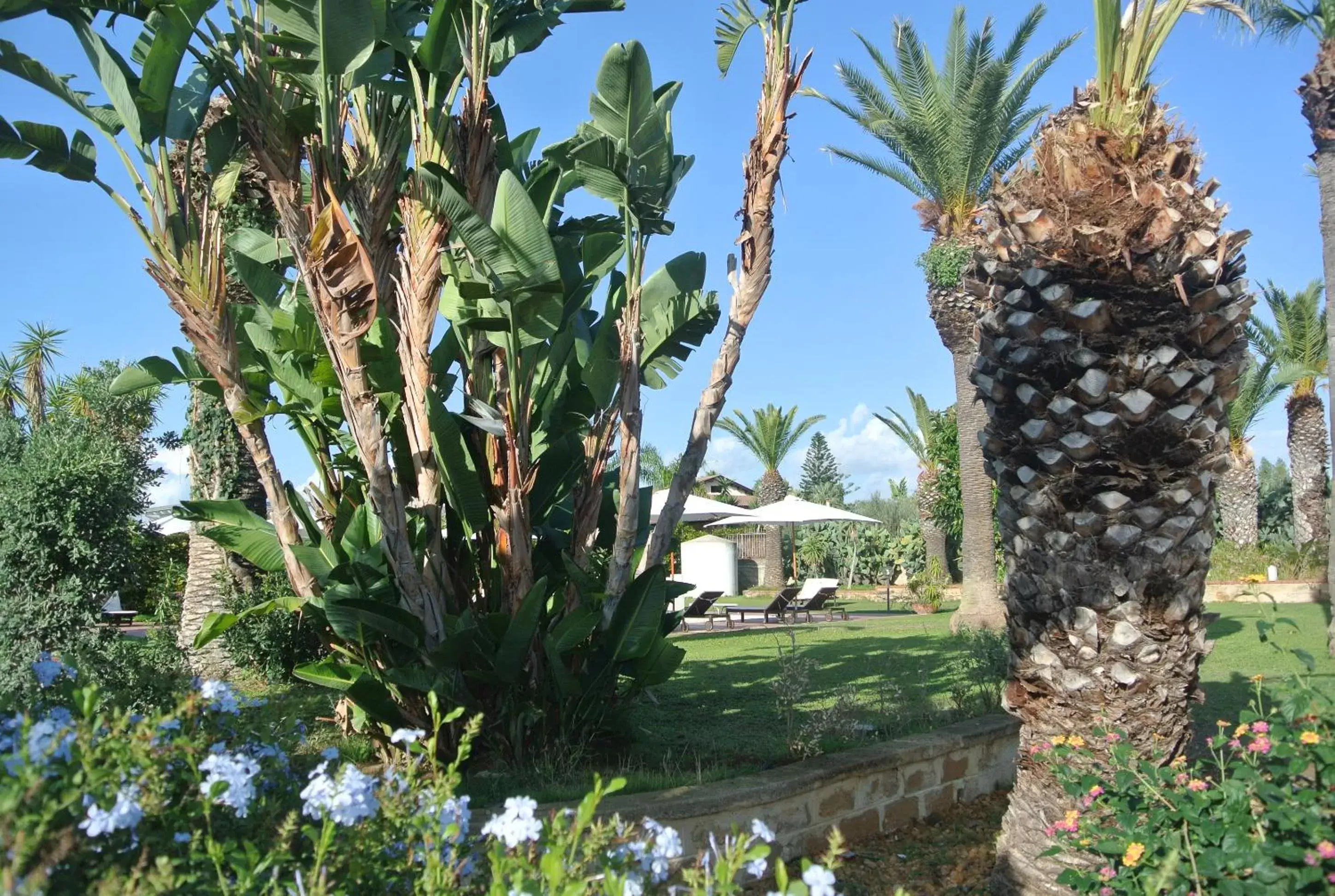 Garden in Villa Carlotta Resort