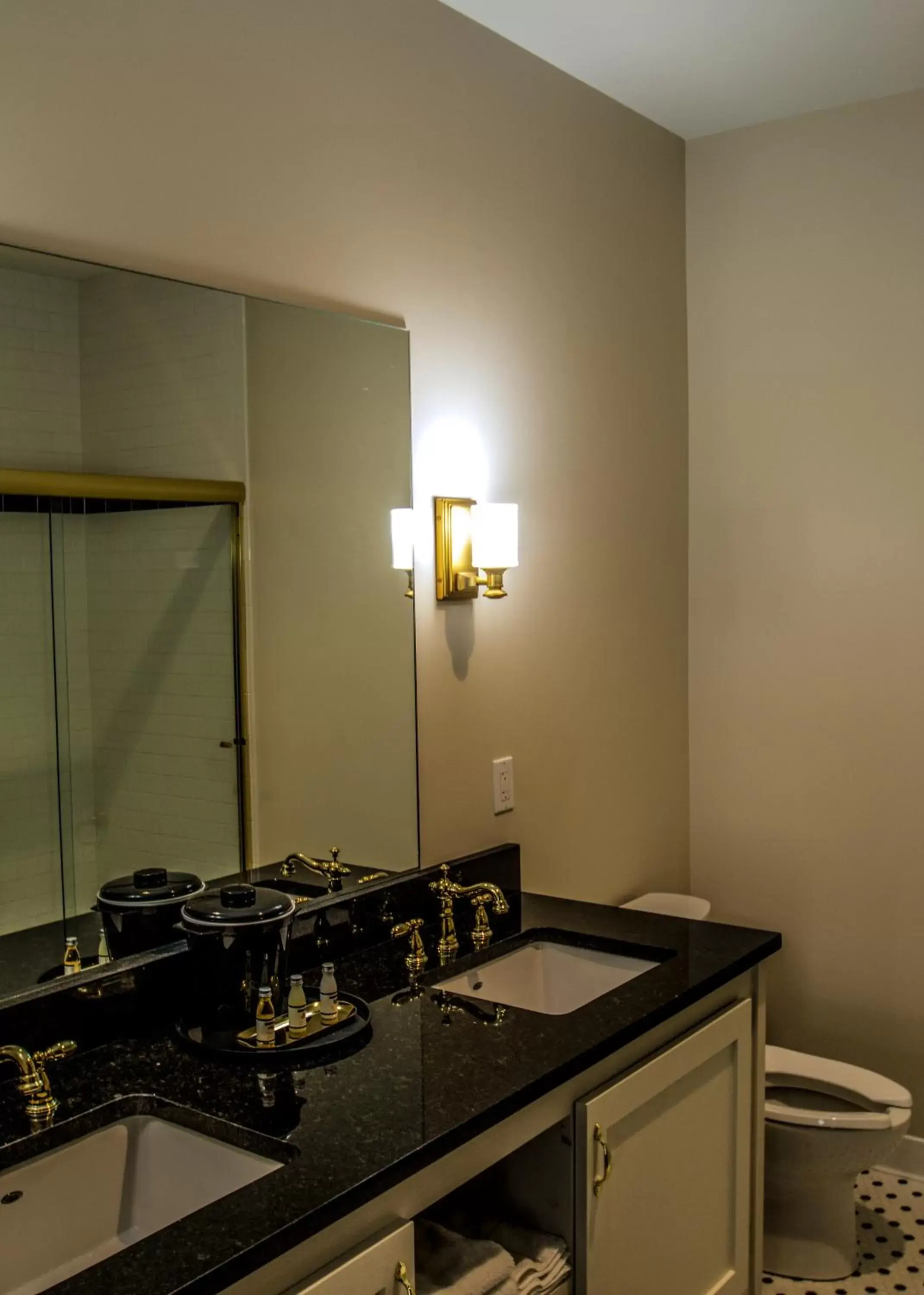 Bathroom, Kitchen/Kitchenette in Meadows Hotel