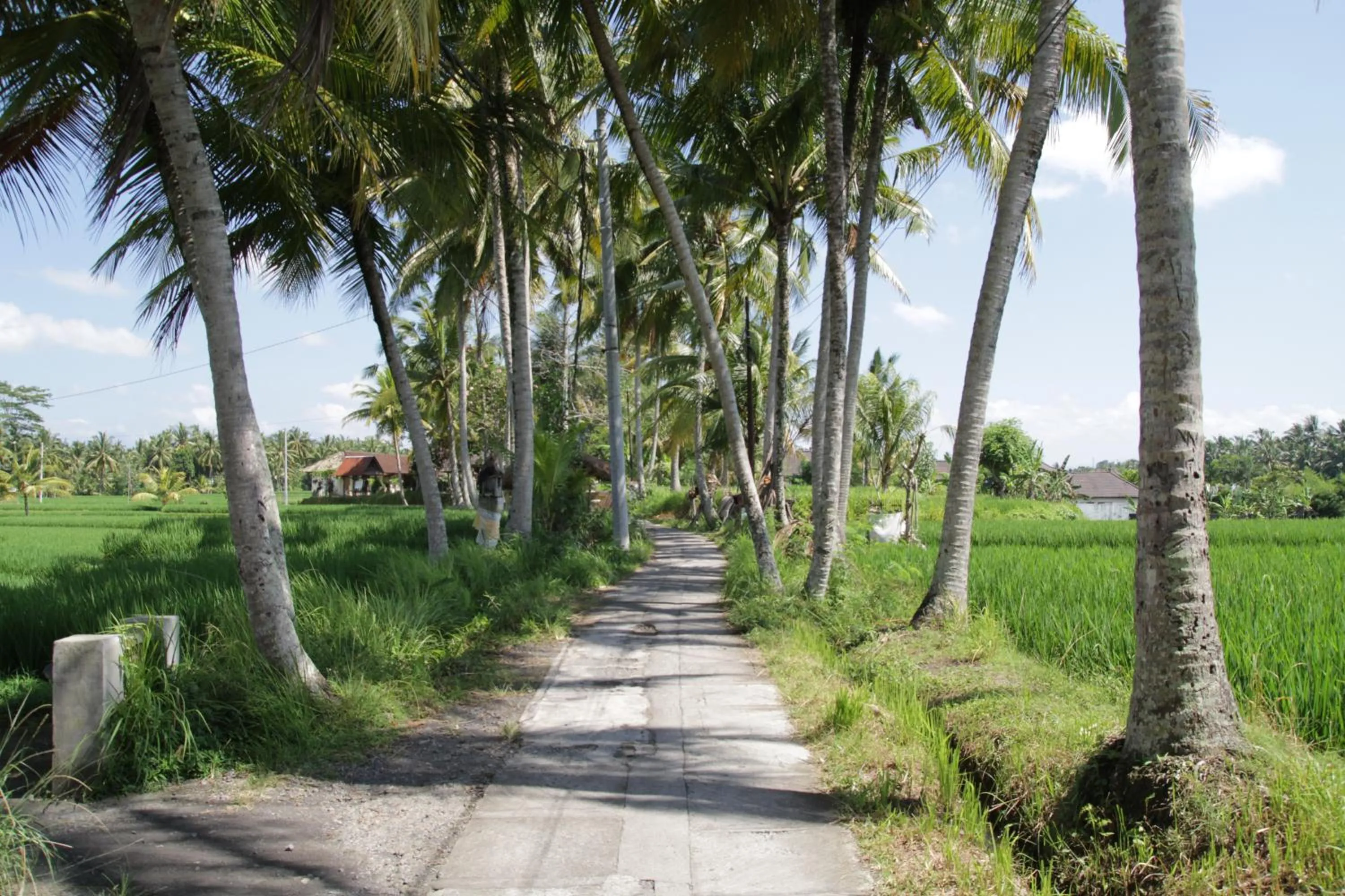 Off site in The Samara Villas & Restaurant