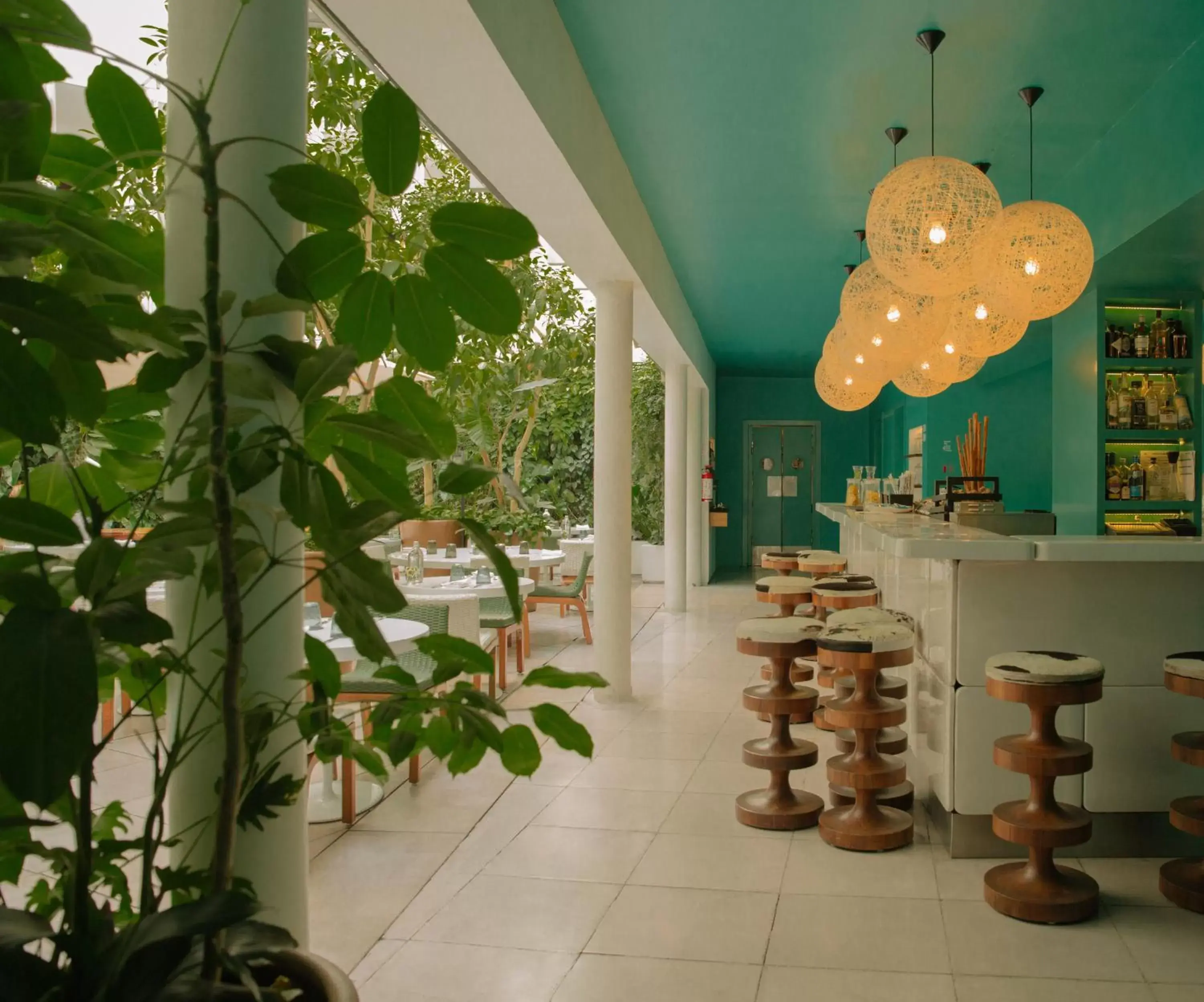 Restaurant/places to eat in Condesa df, Mexico City, a Member of Design Hotels