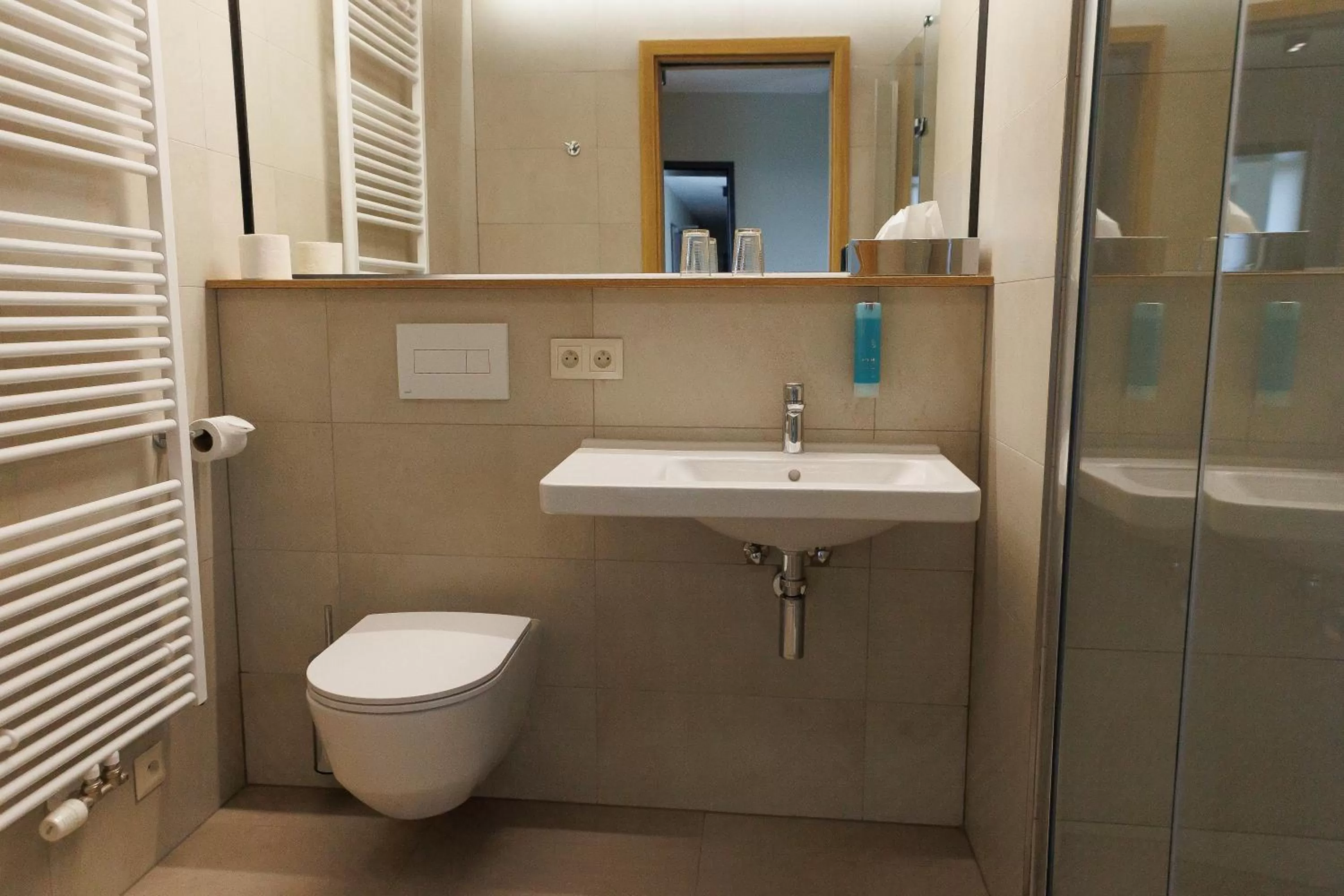 Bathroom in Avenue Pallova 28