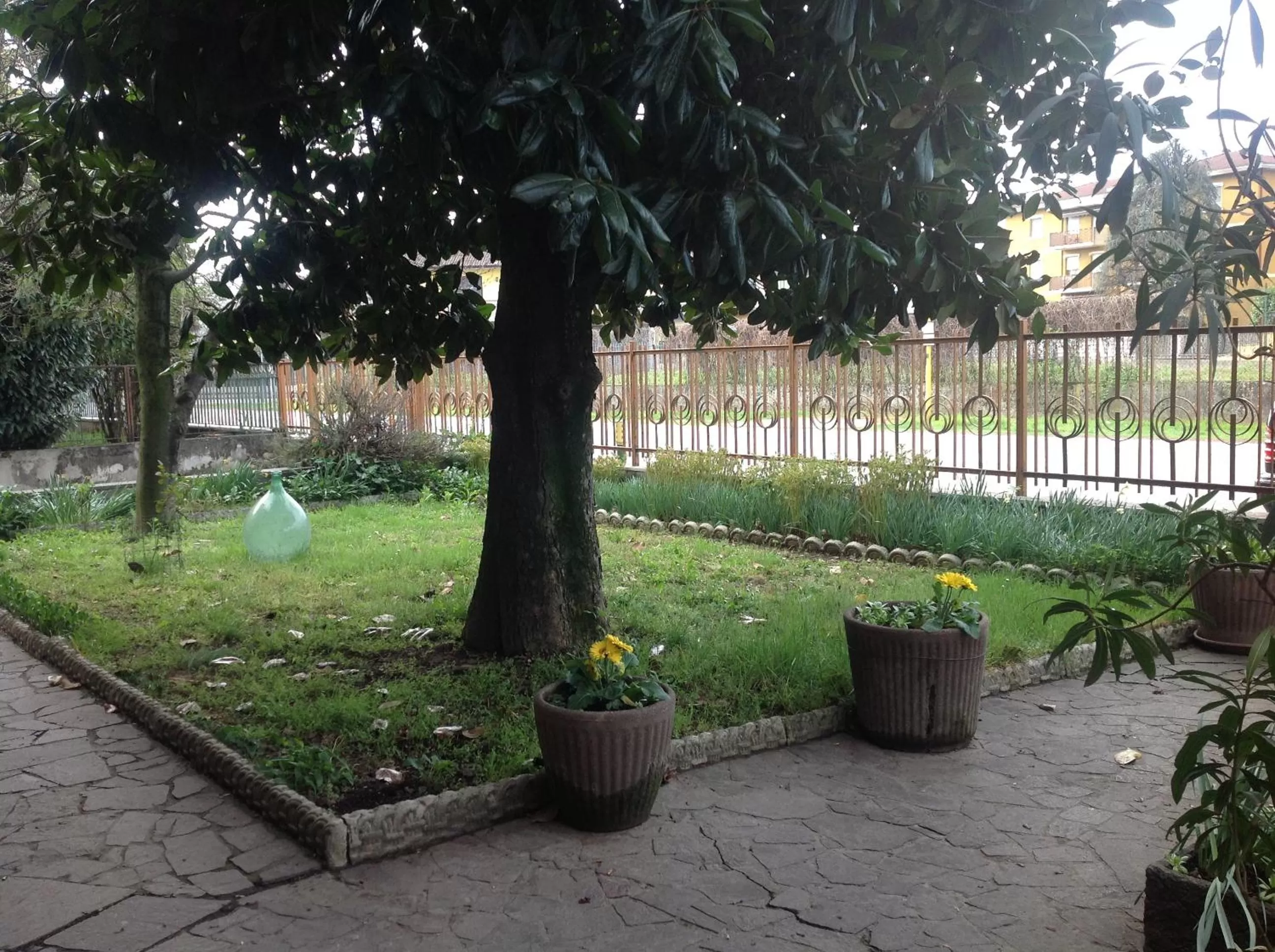 Garden view in B&B Family Home