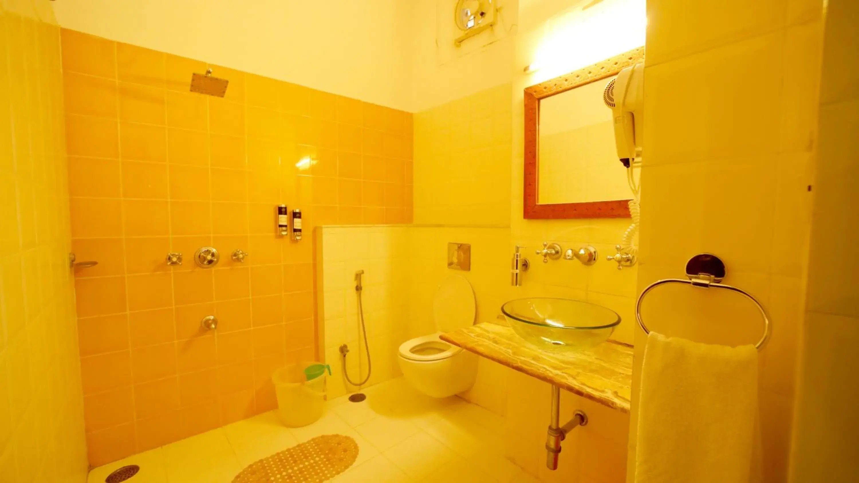 Bathroom in Hotel Udaigarh