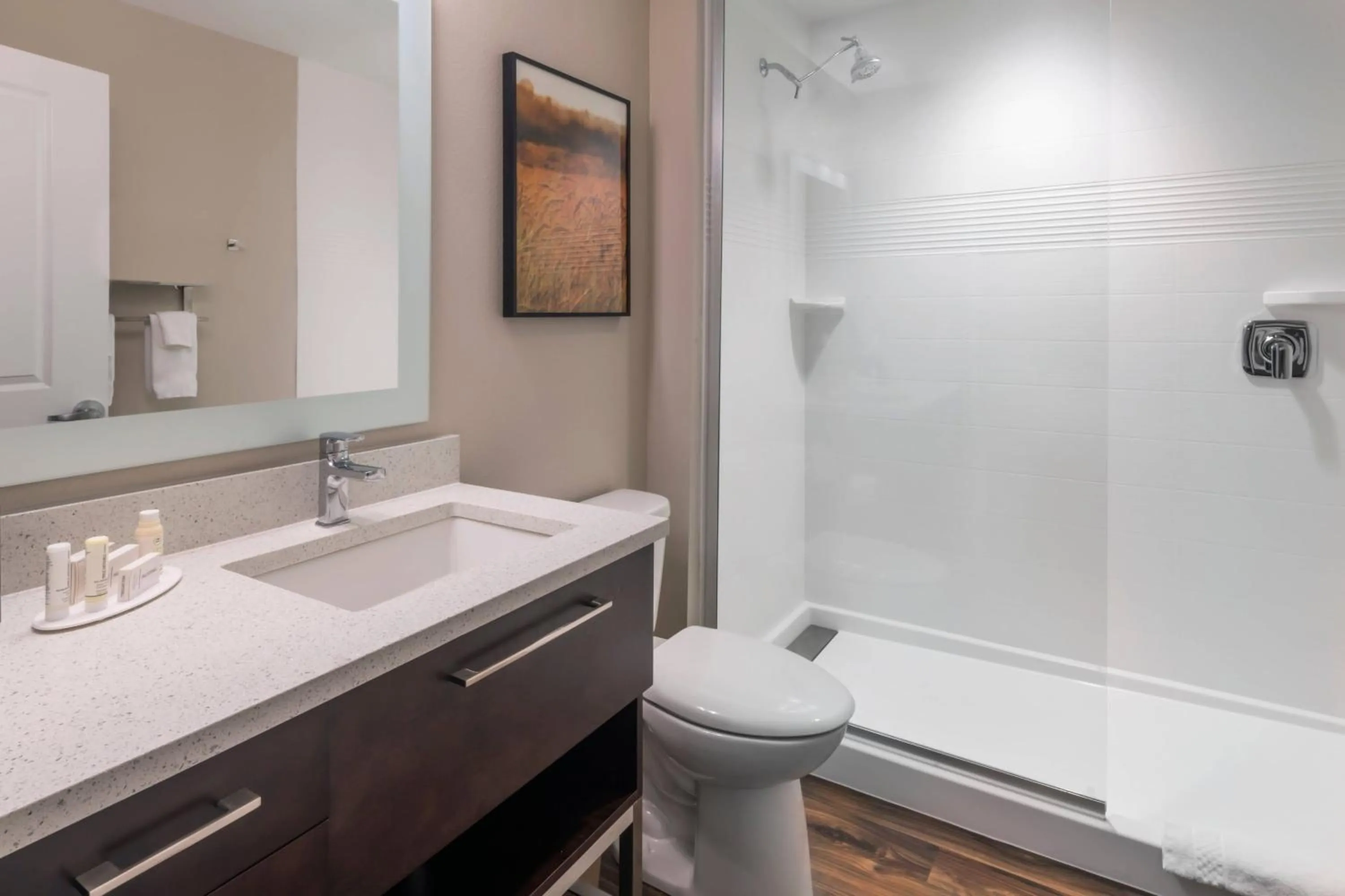 Bathroom in Towneplace Suites By Marriott Hays