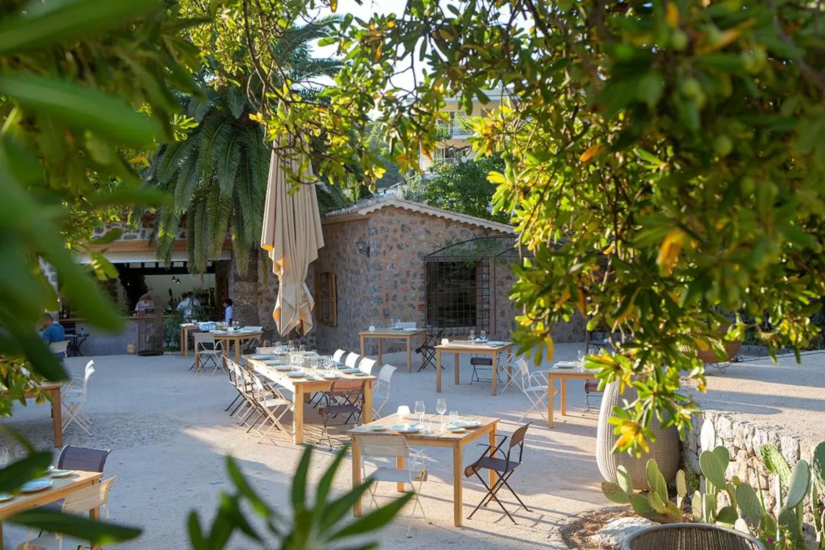 Food and drinks in Hotel Es Port