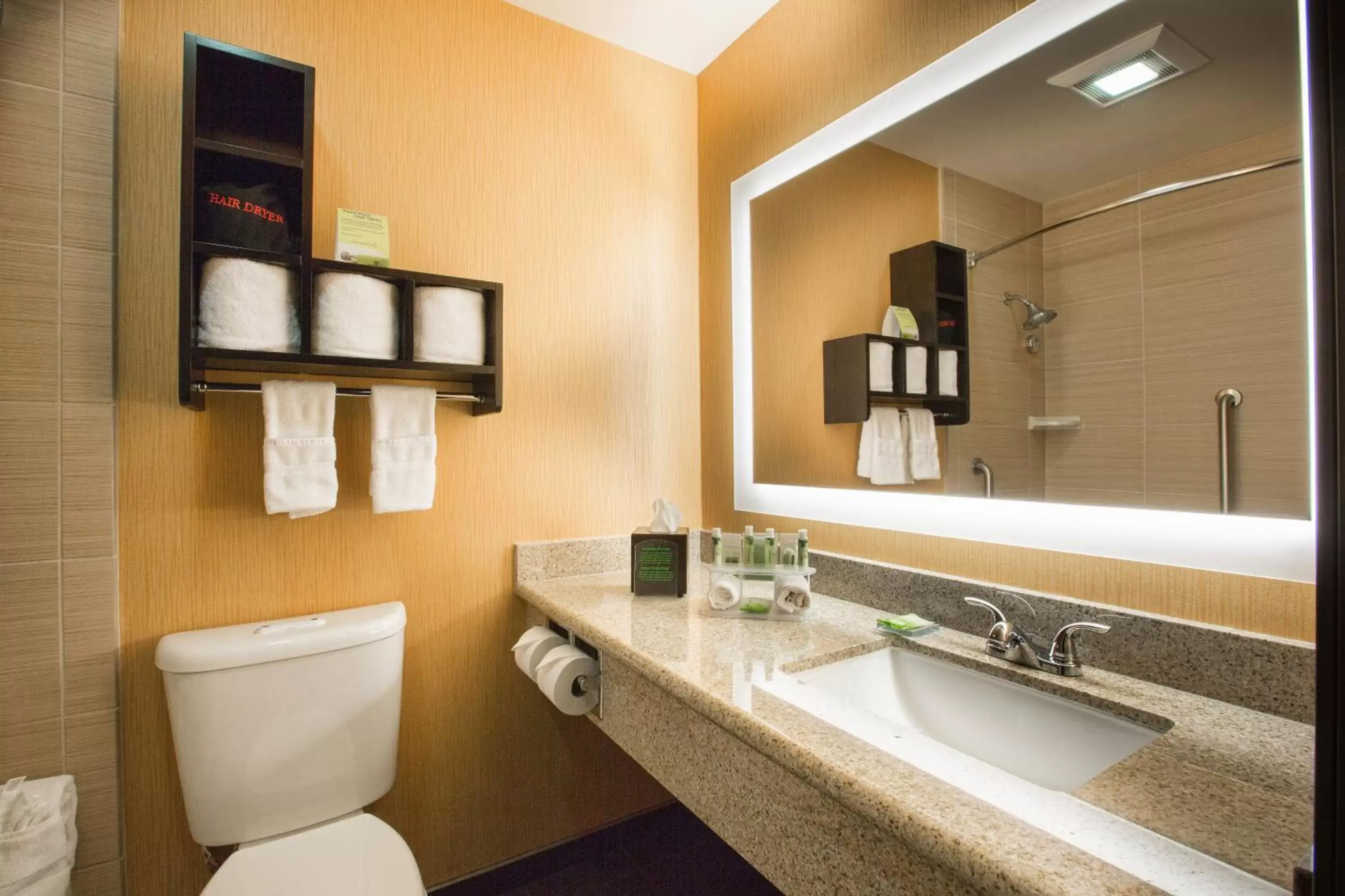 Bathroom in Holiday Inn Express Mountain View South Palo Alto, an IHG Hotel