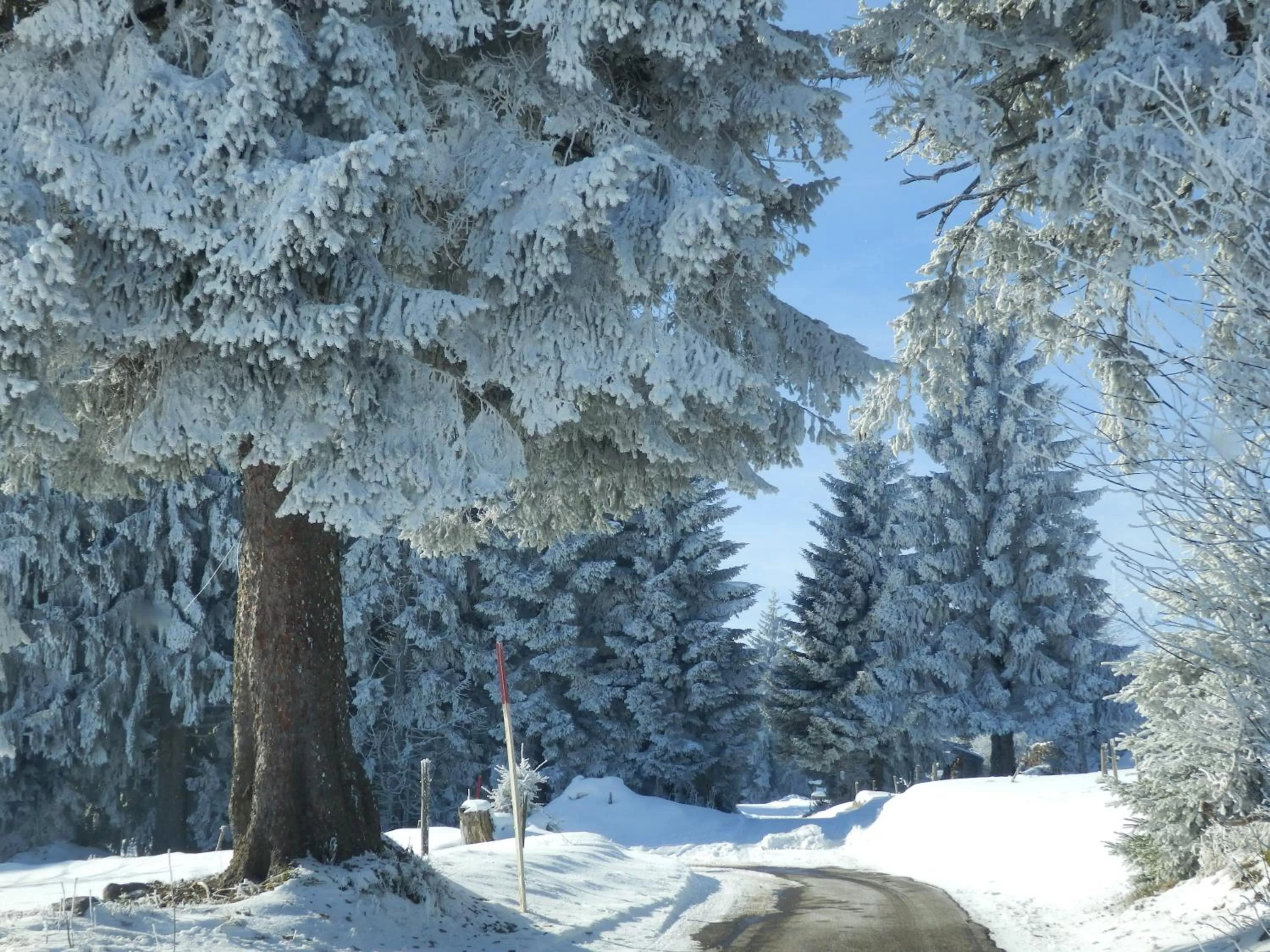 Natural landscape in Haus Sonneck