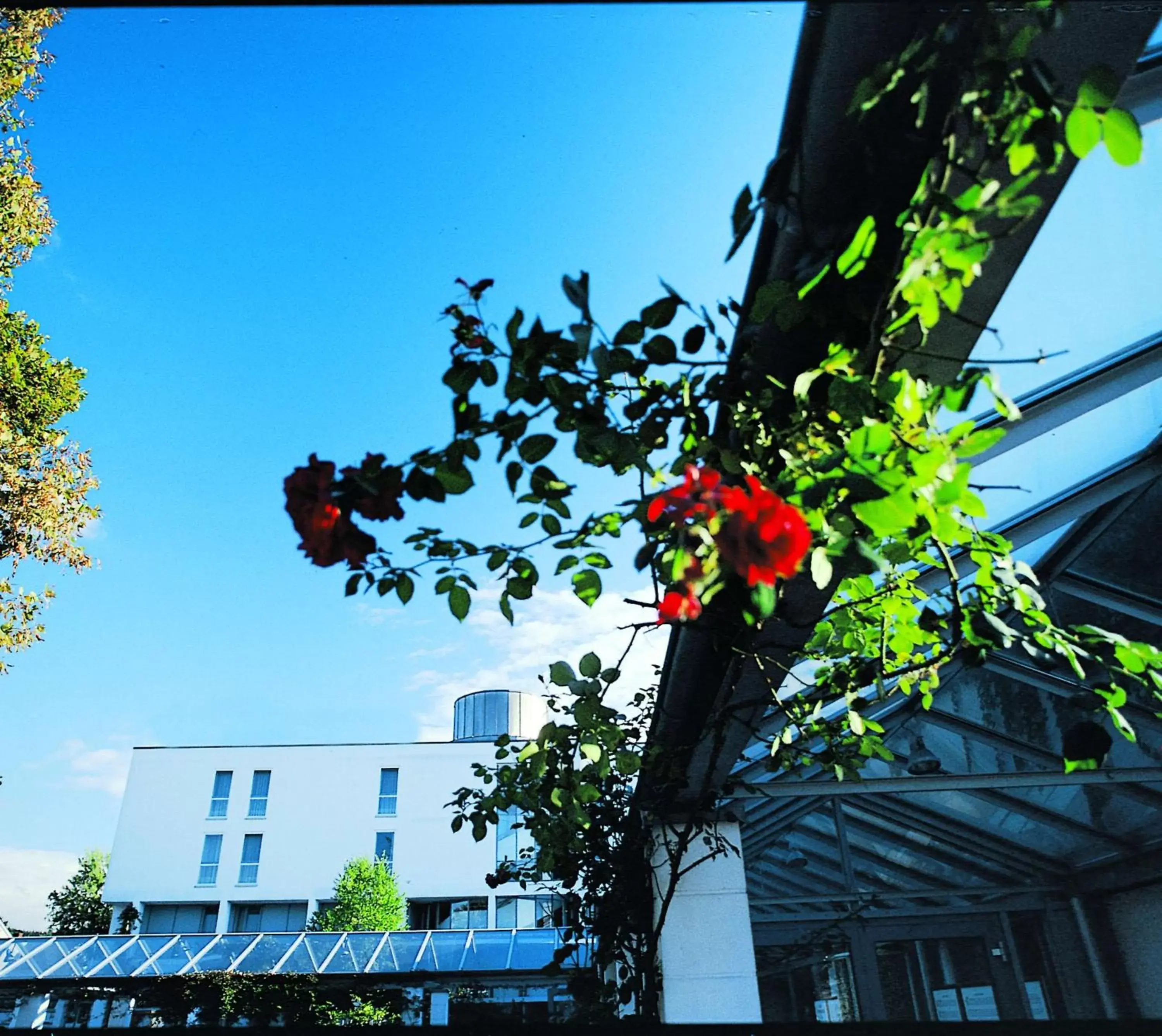 Property Building in Best Western Parkhotel Weingarten