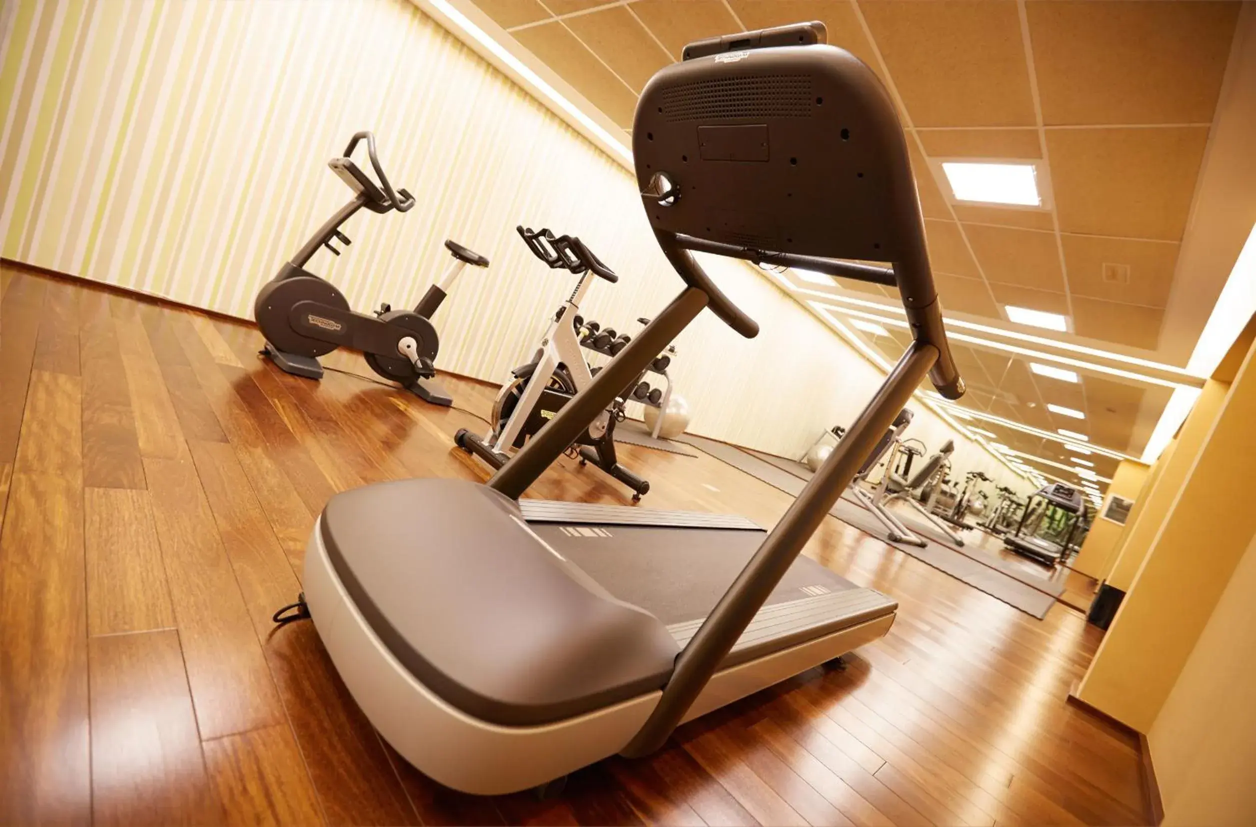 Fitness centre/facilities in Hotel Ego Fitness centre/facilities in Hotel Ego