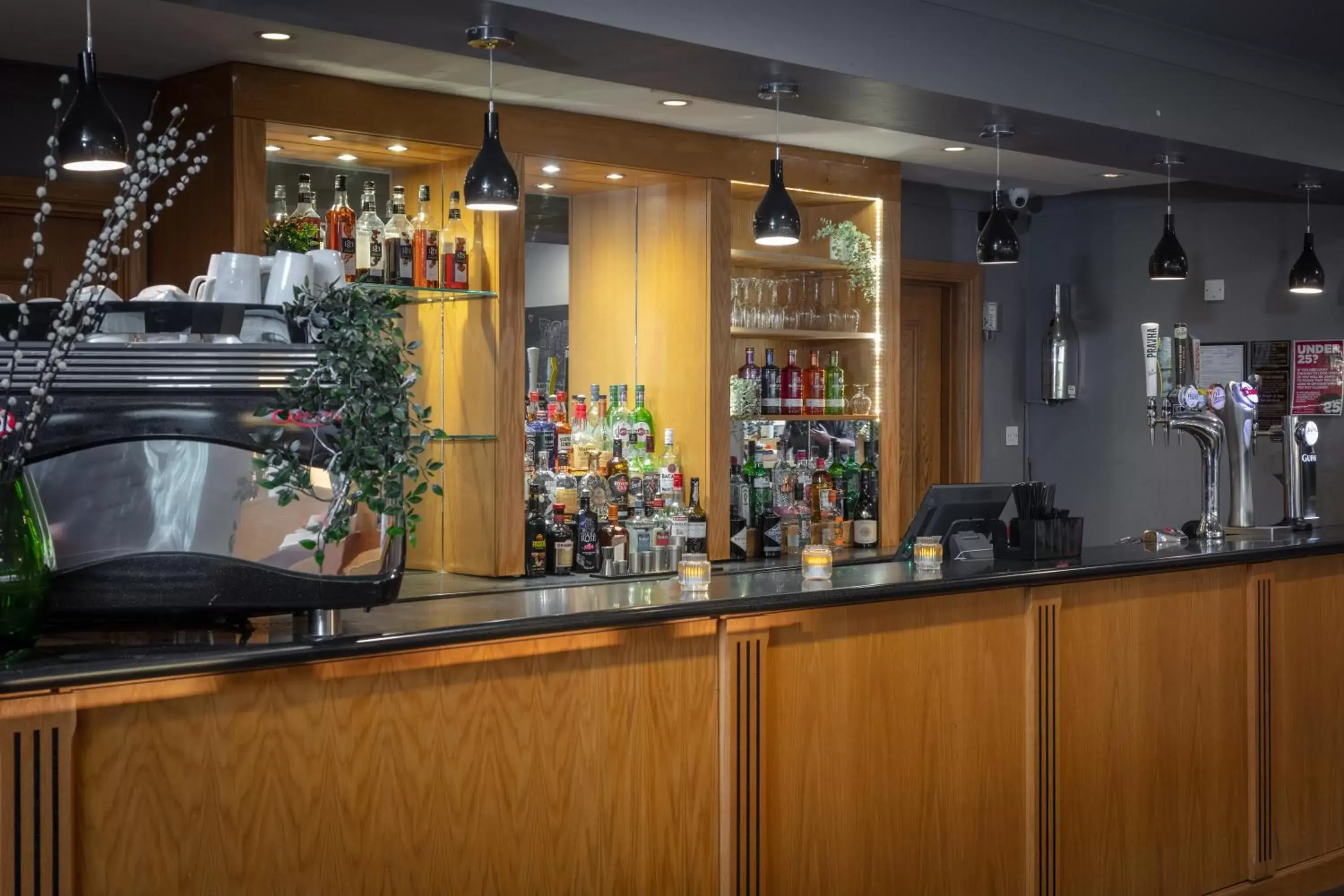 Lounge or bar, Lounge/Bar in Hampshire Court Hotel & Spa