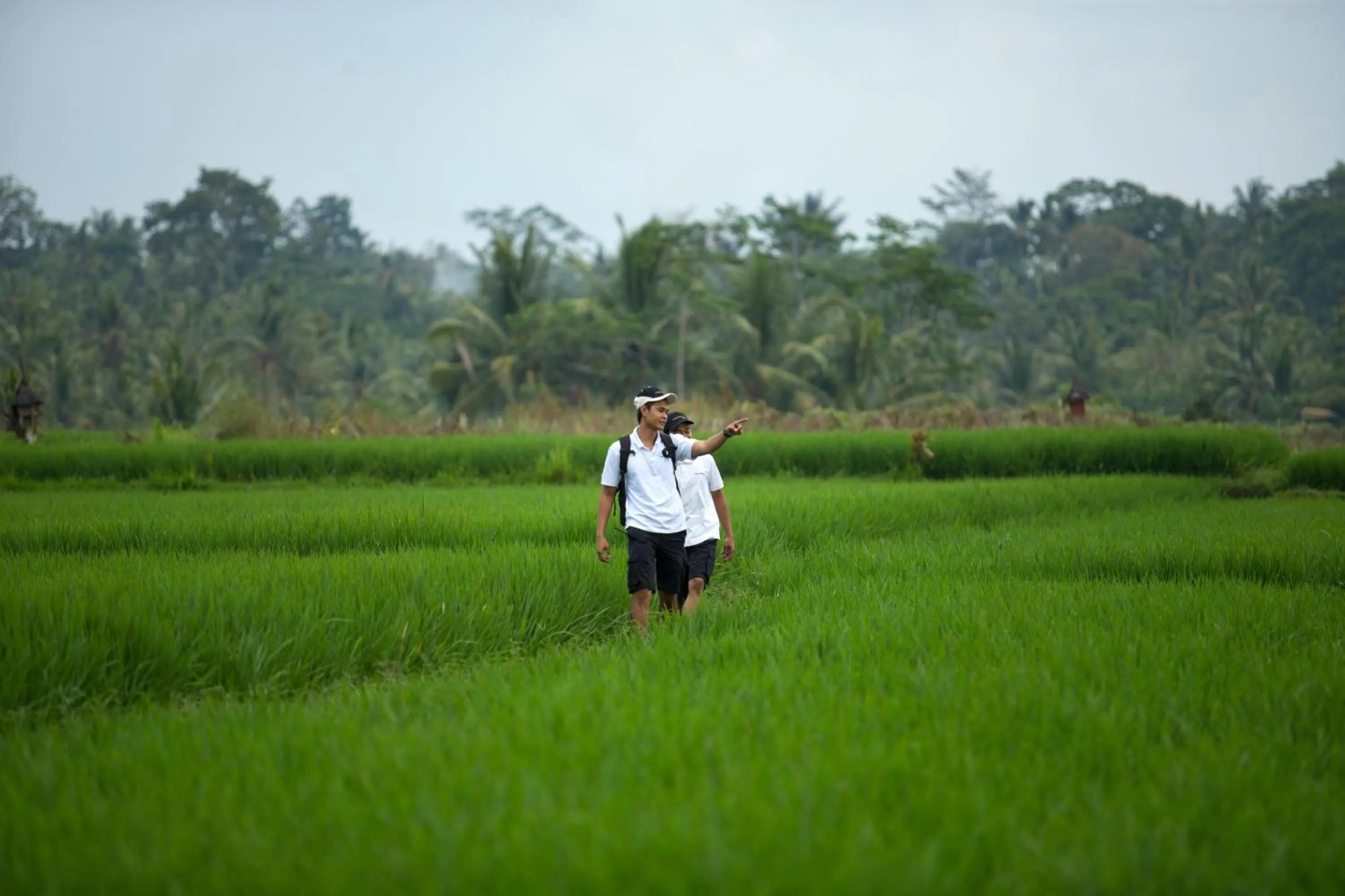 Hiking in The Samaya Ubud