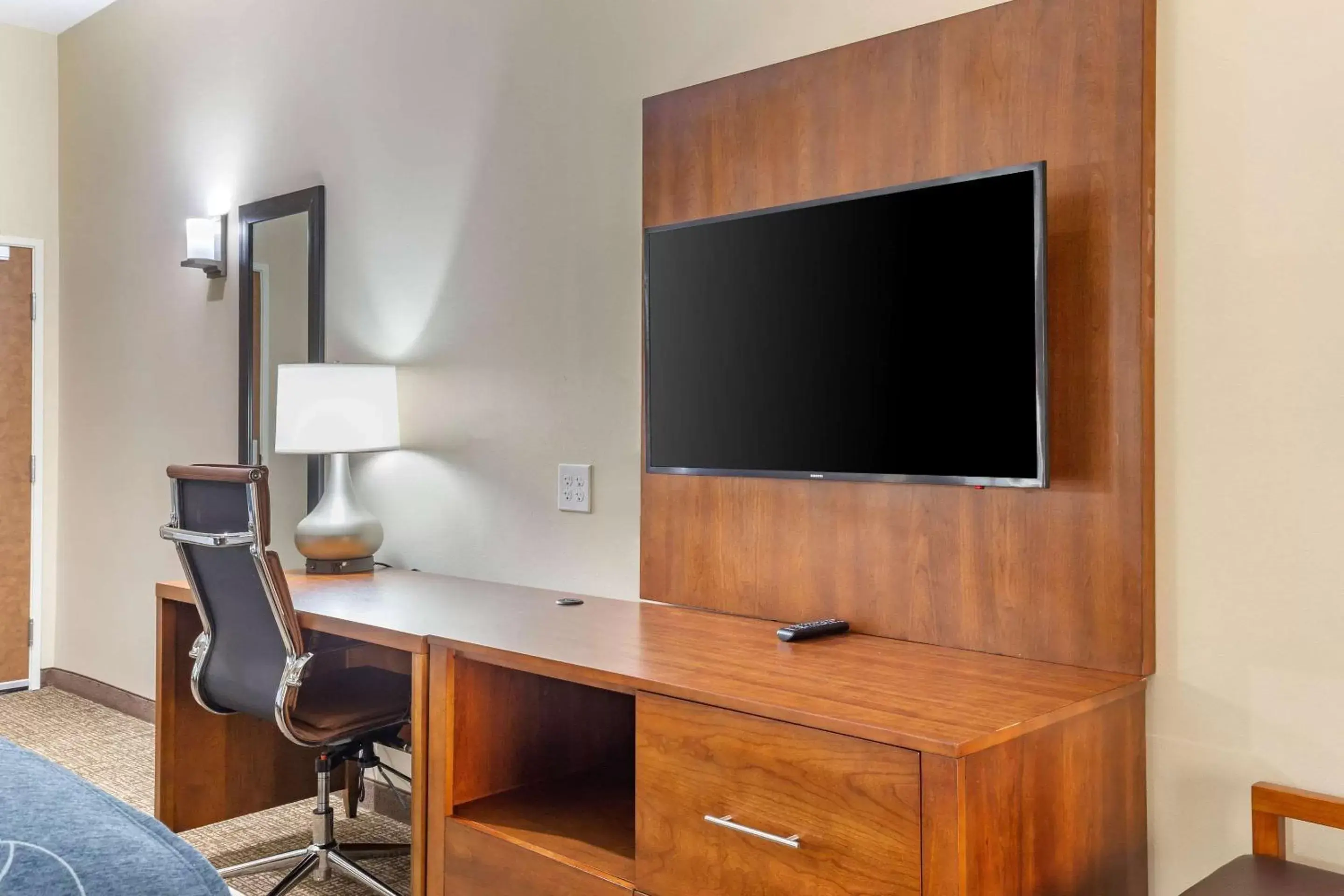 Photo of the whole room, TV/Entertainment Center in Comfort Suites Greensboro-High Point