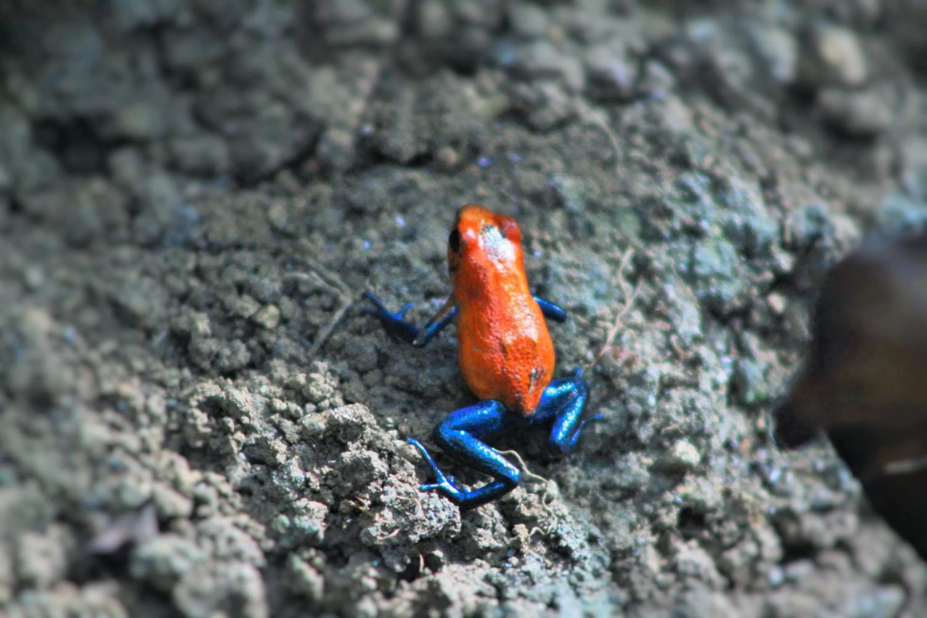 Area and facilities in Hotel Monte Real