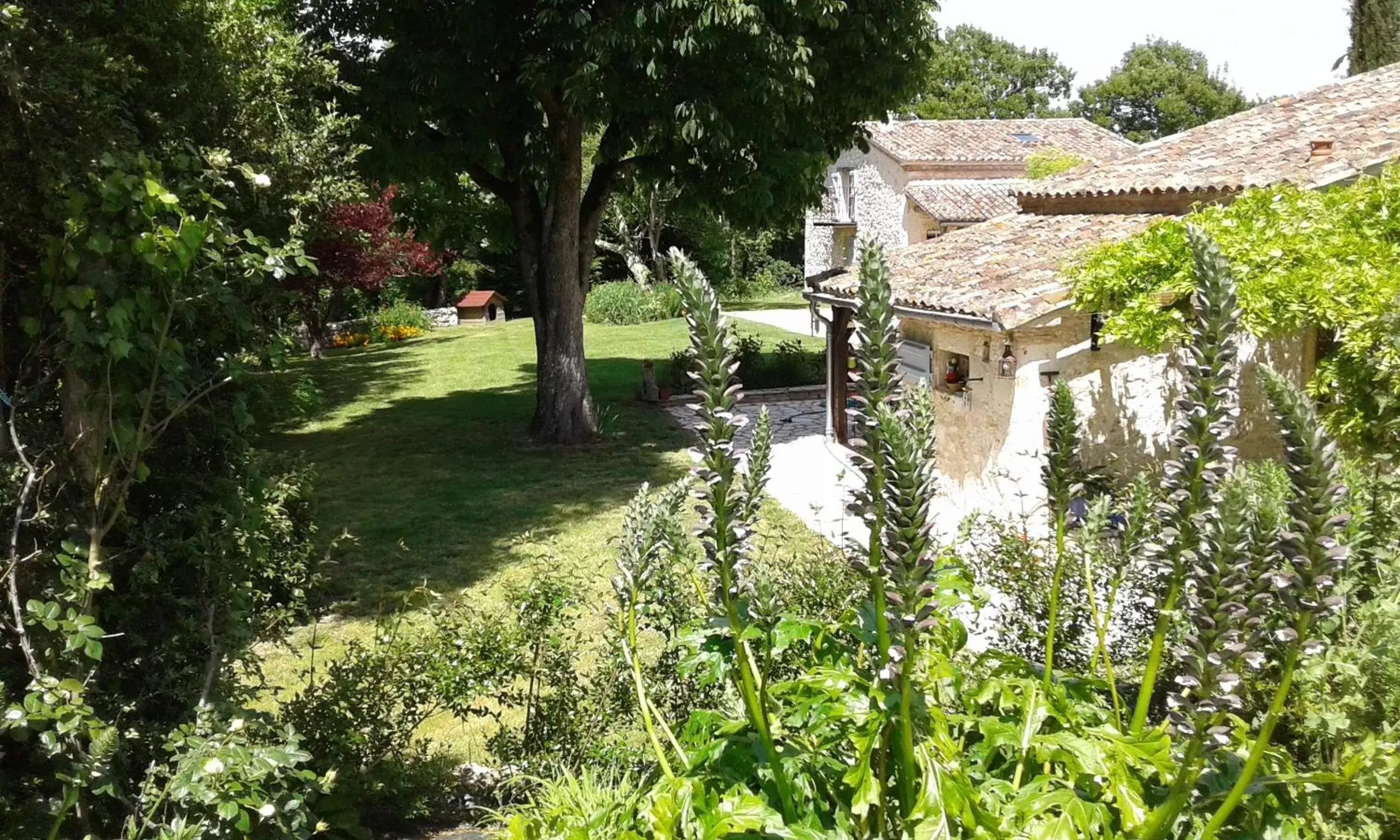 Garden in Le Colombier