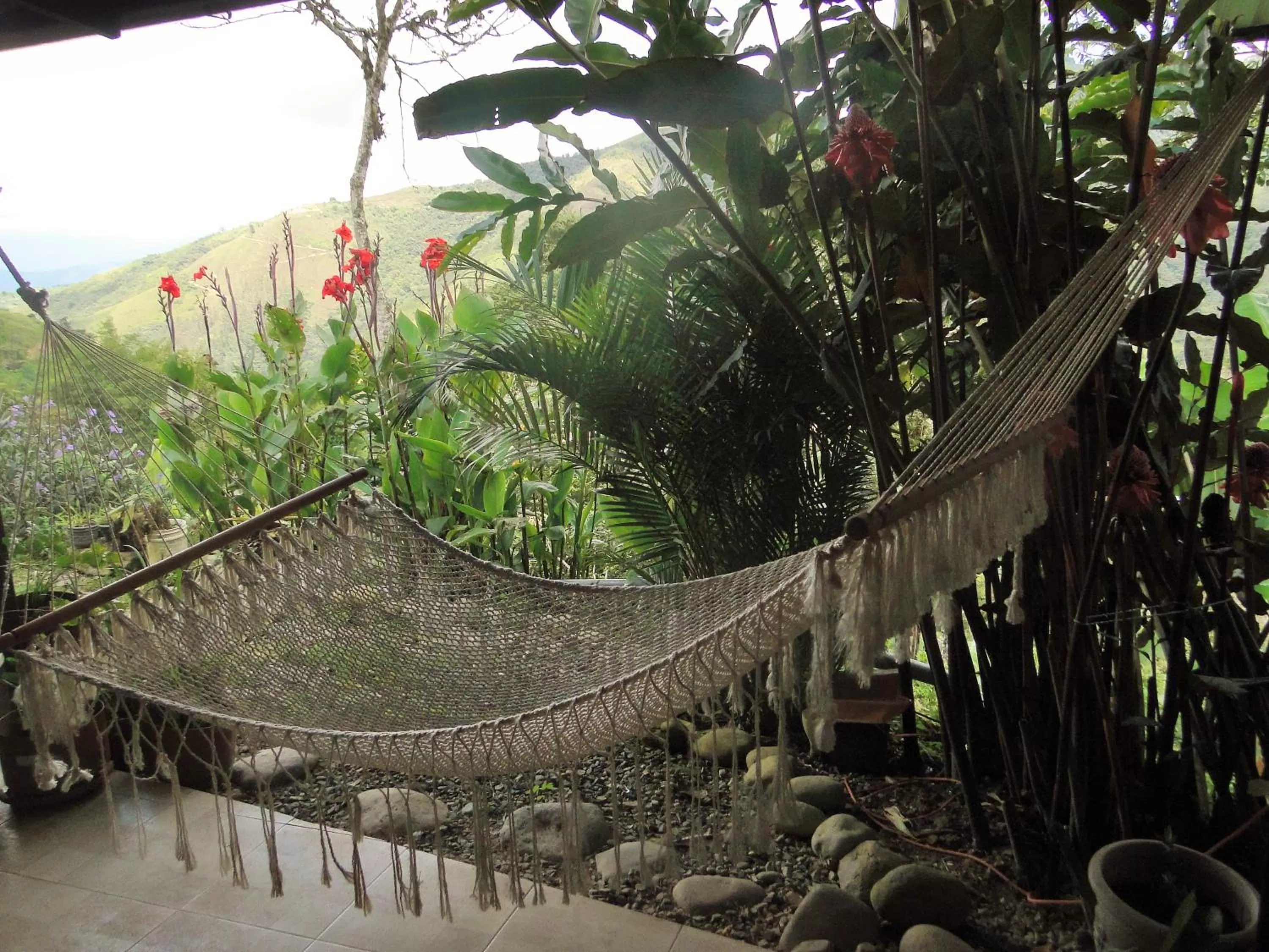 Patio/Outdoor Area in Hosteria Florecer