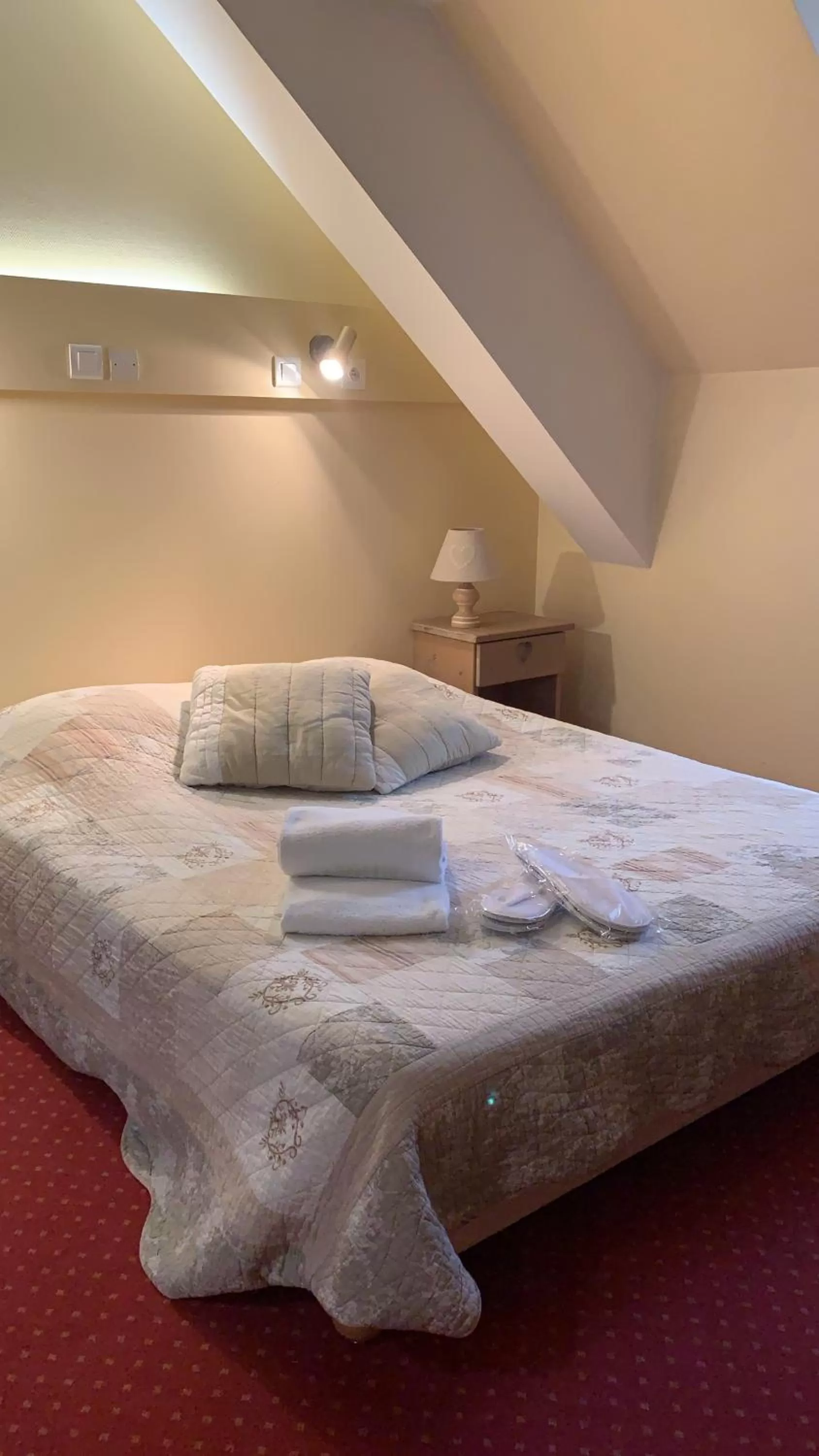 Shower in Hôtel Le Dauphin