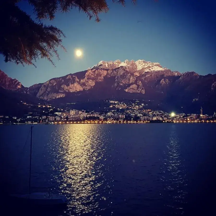 Natural landscape in Hotel Villa Giulia