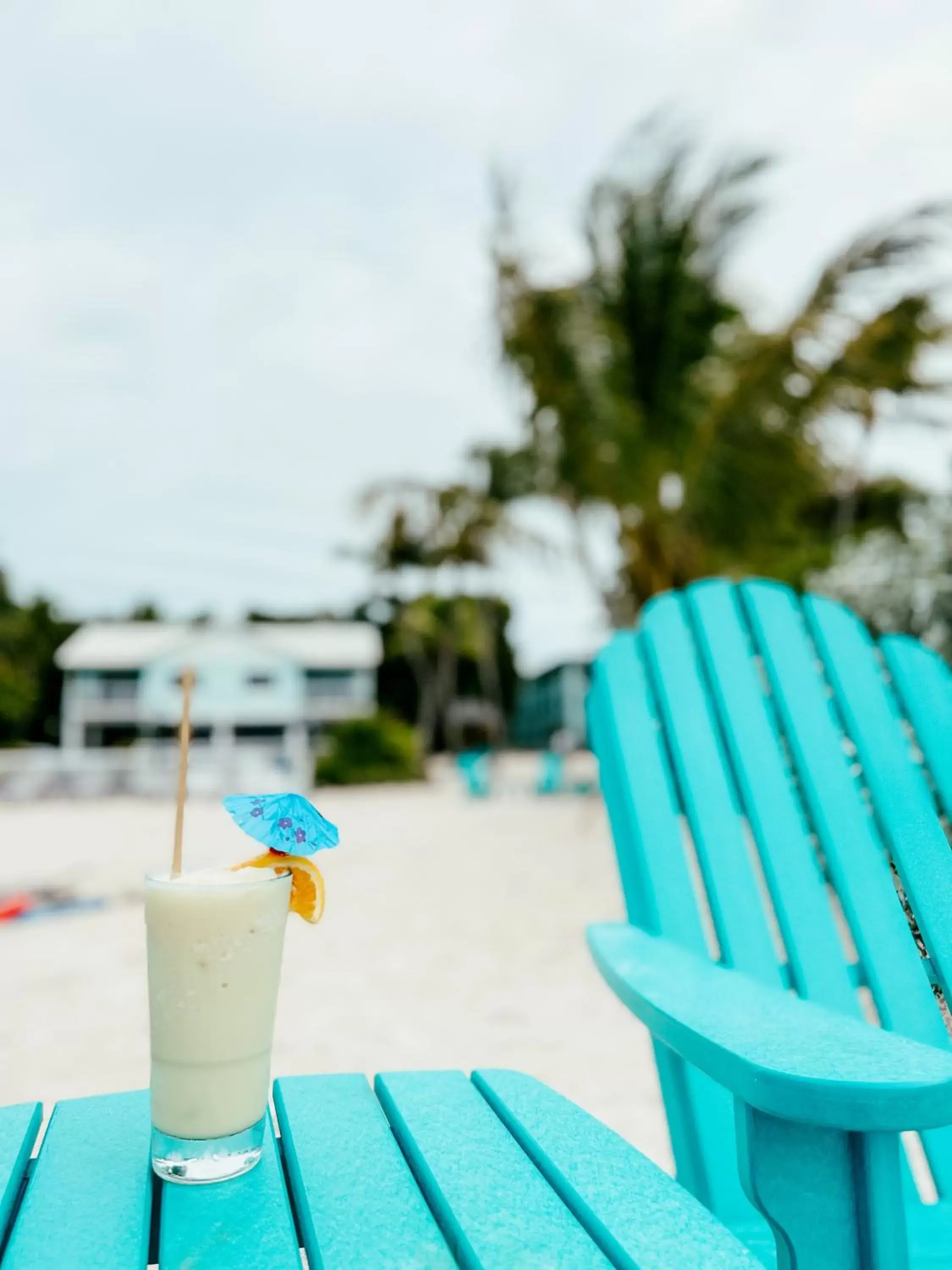 Beach in Bayside Inn Key Largo