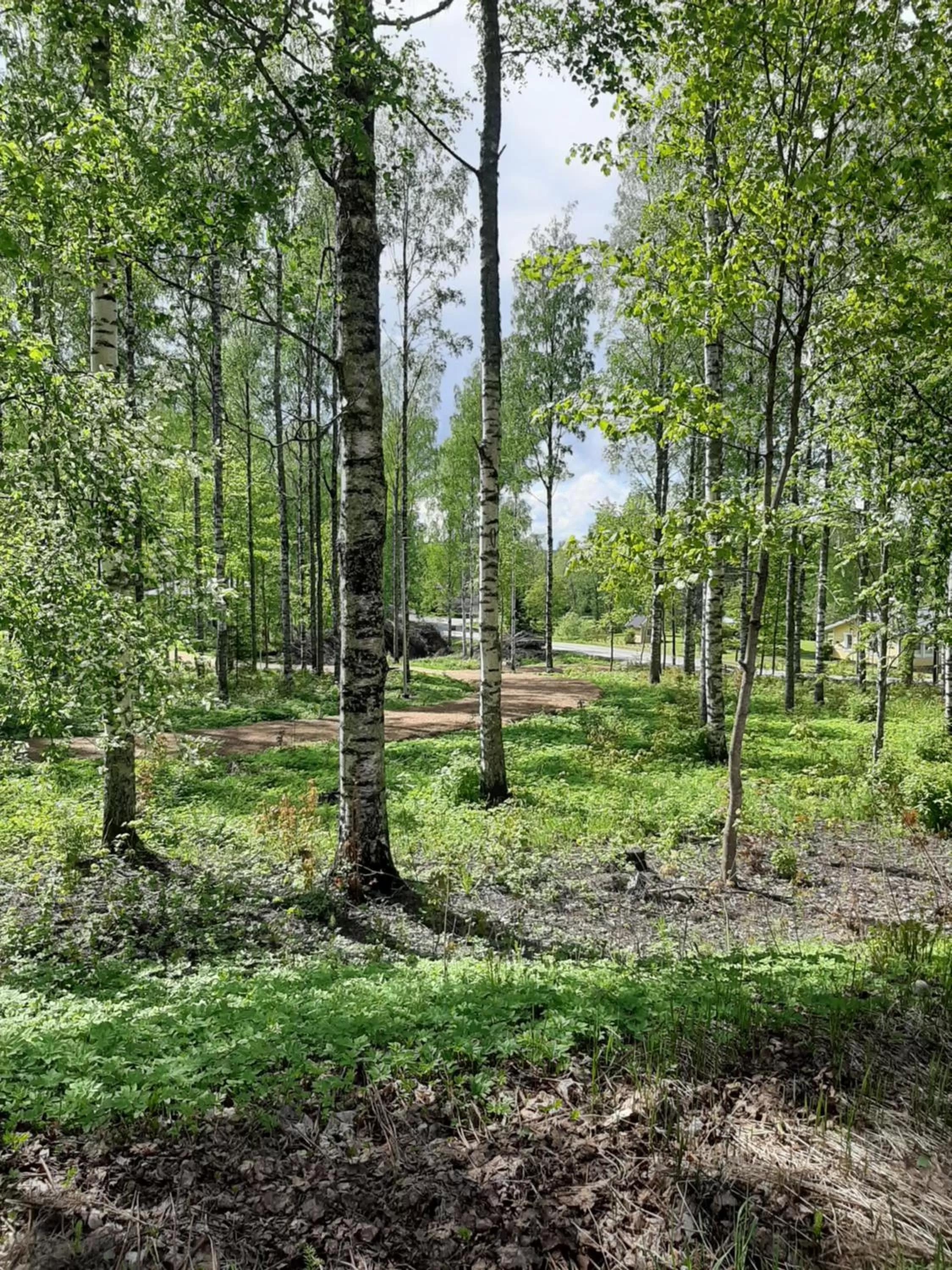 Natural landscape in Minimotel