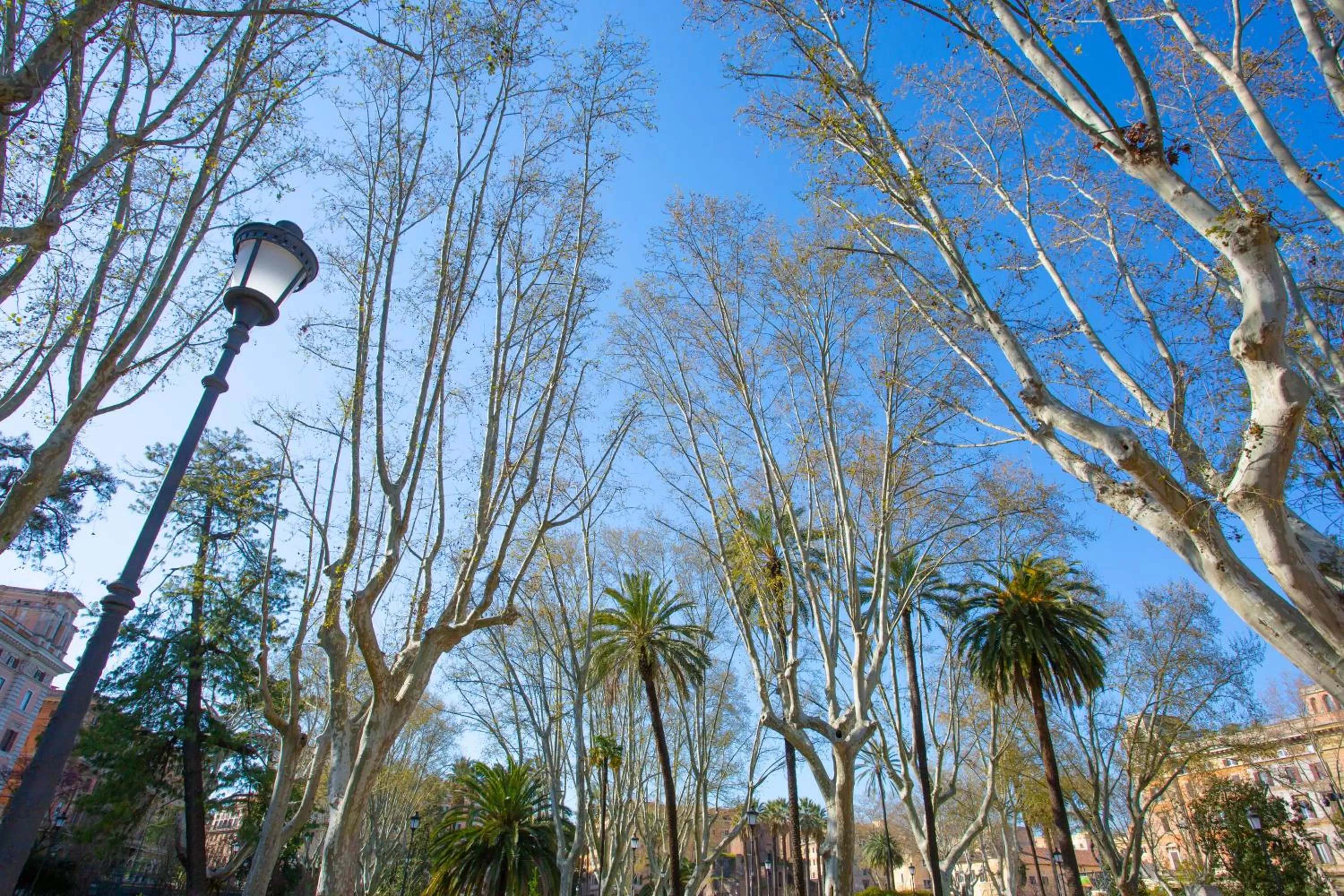 Nearby landmark in Hotel Napoleon