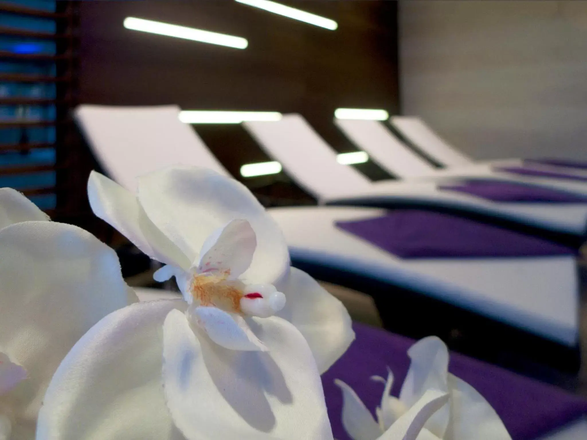 Spa and wellness centre/facilities in Hotel Adria