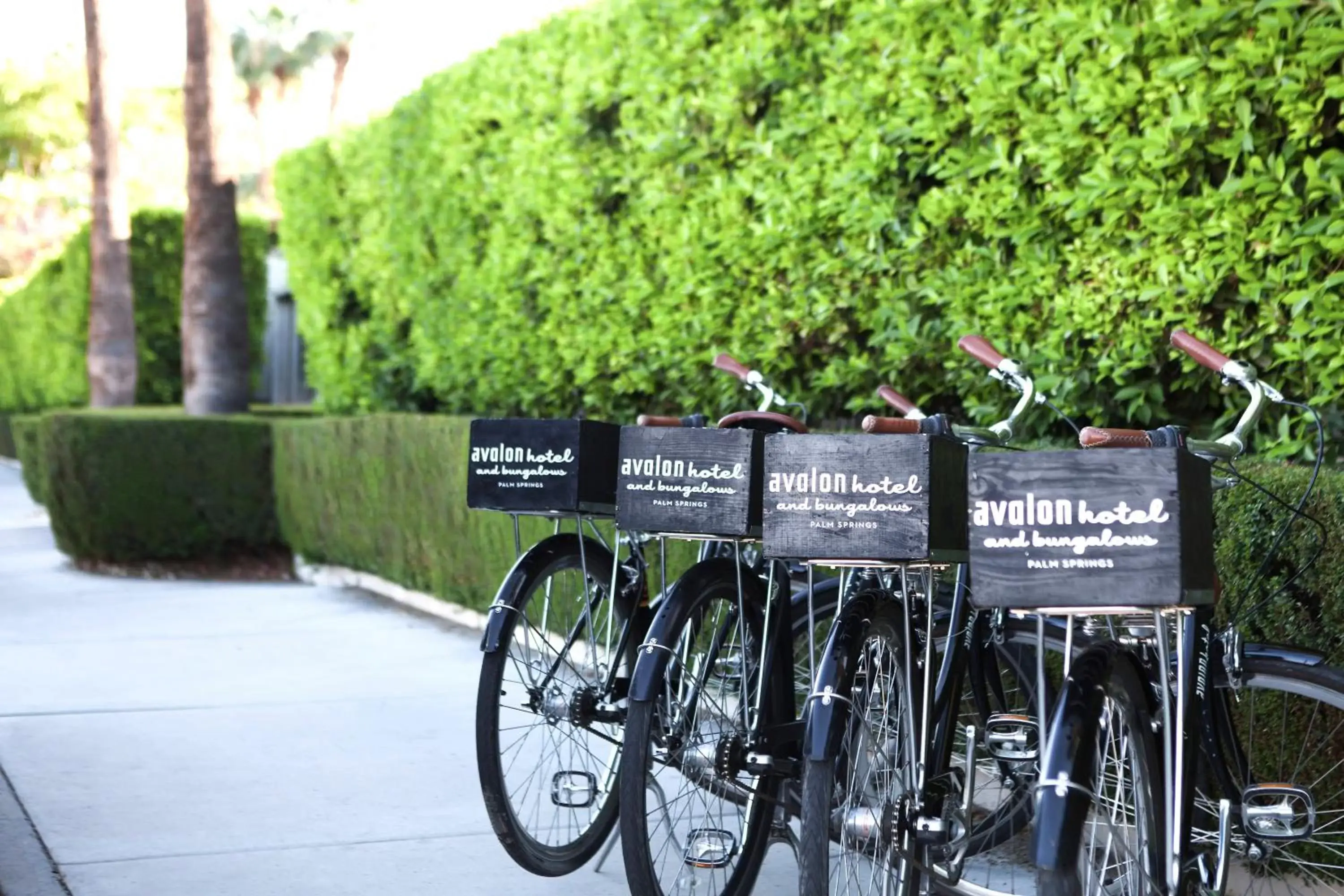 Cycling, Other Activities in Avalon Hotel and Bungalows Palm Springs