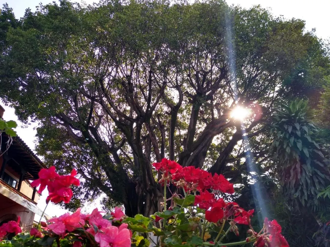 Natural landscape in Hotel San Angelo