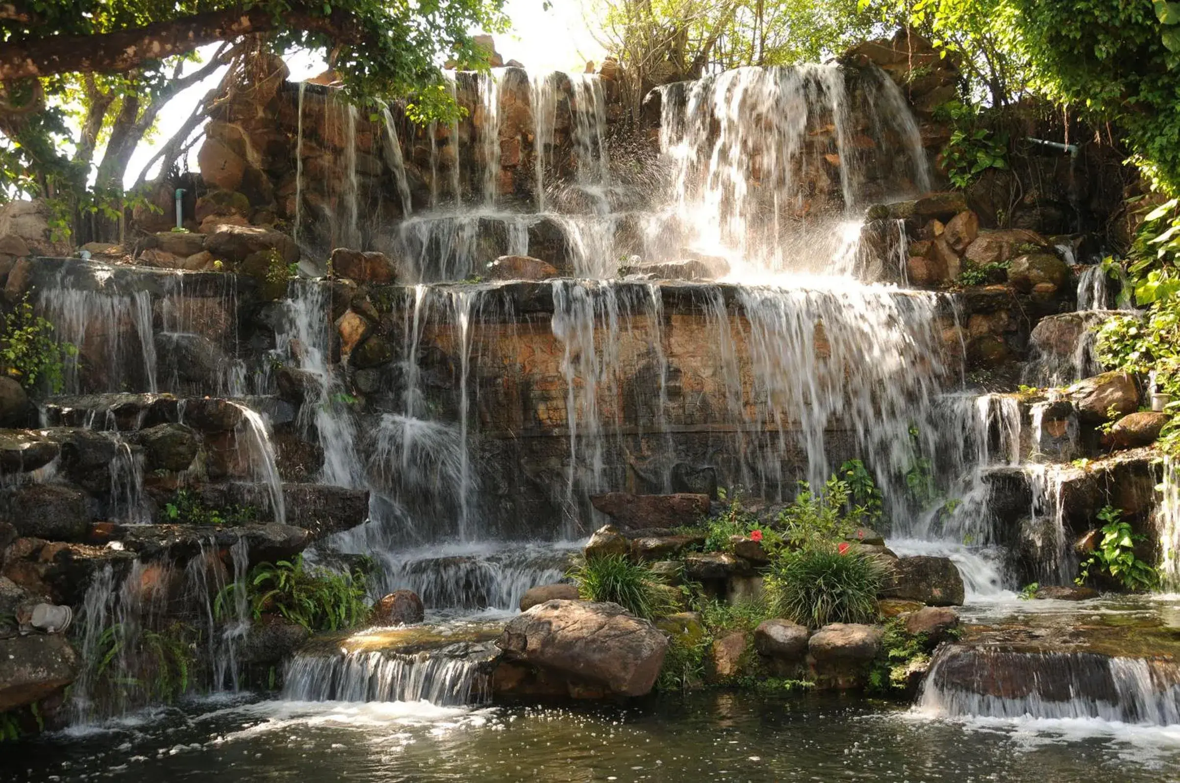 Garden, Natural Landscape in City Angkor Hotel