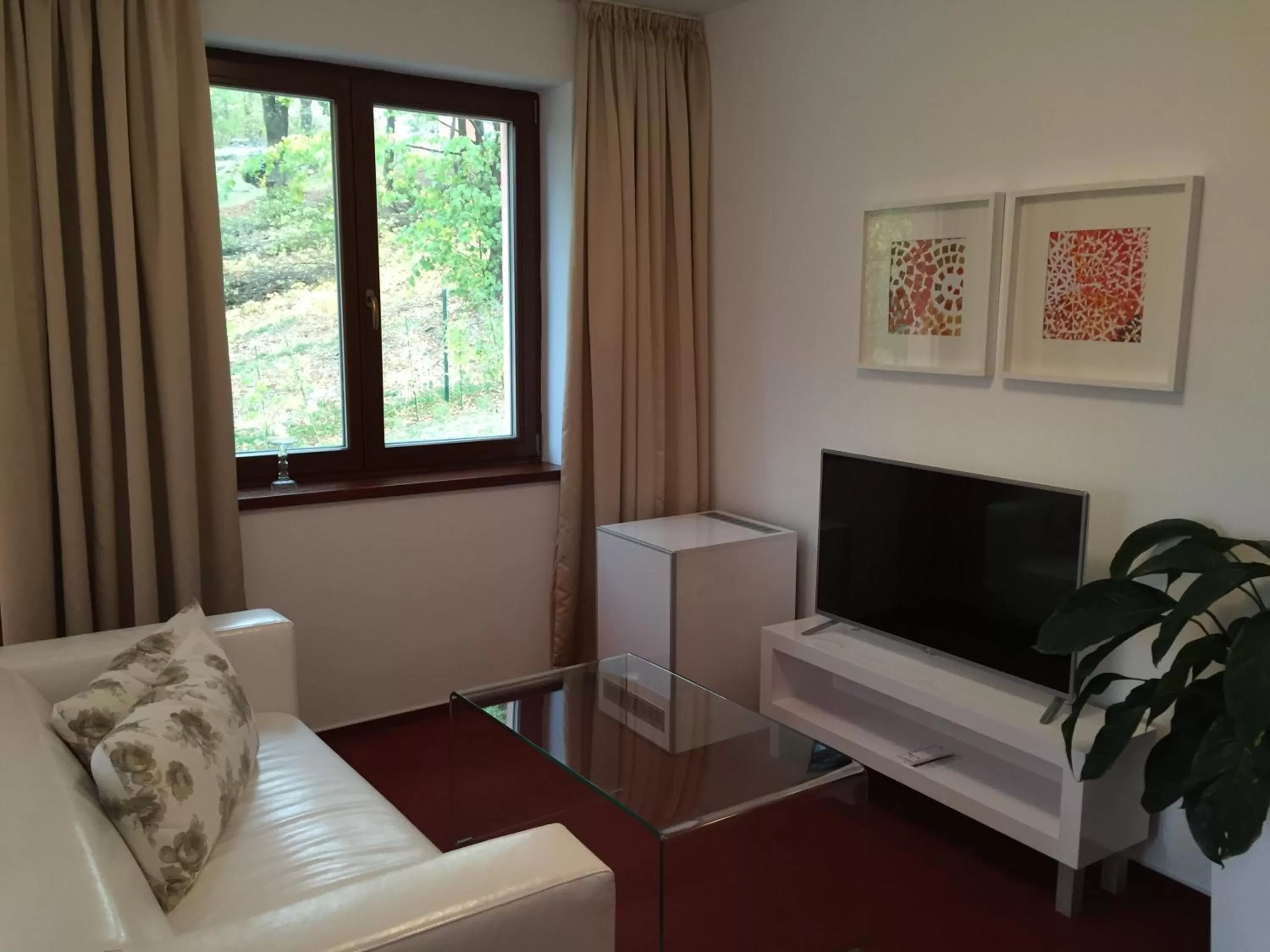 TV and multimedia in Hotel Cvilín