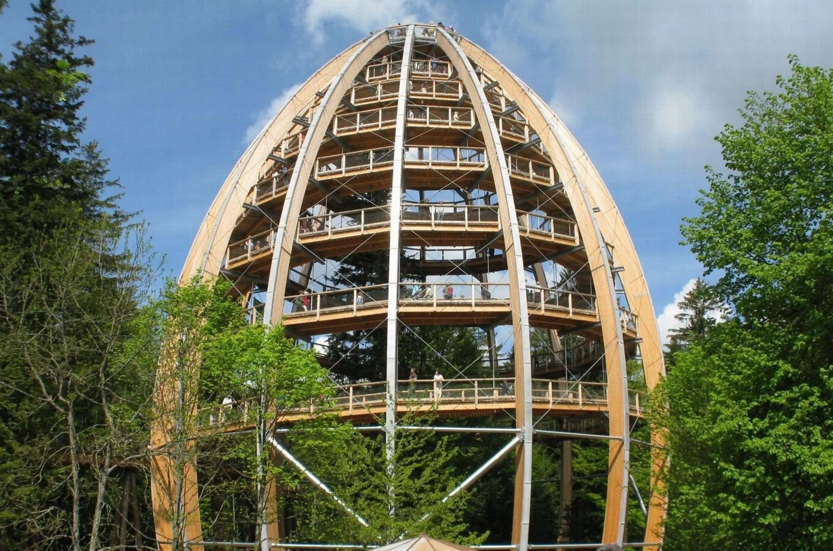 Area and facilities in Vitalesca